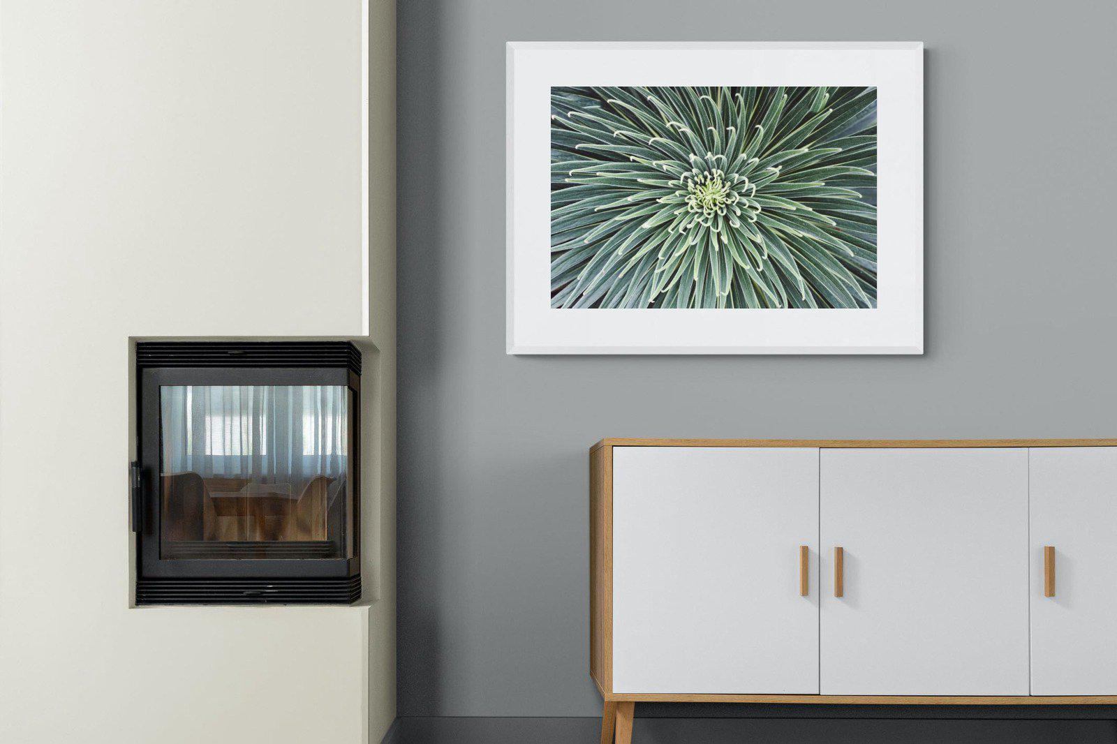 Cactus-Wall_Art-100 x 75cm-Framed Print-White-Pixalot