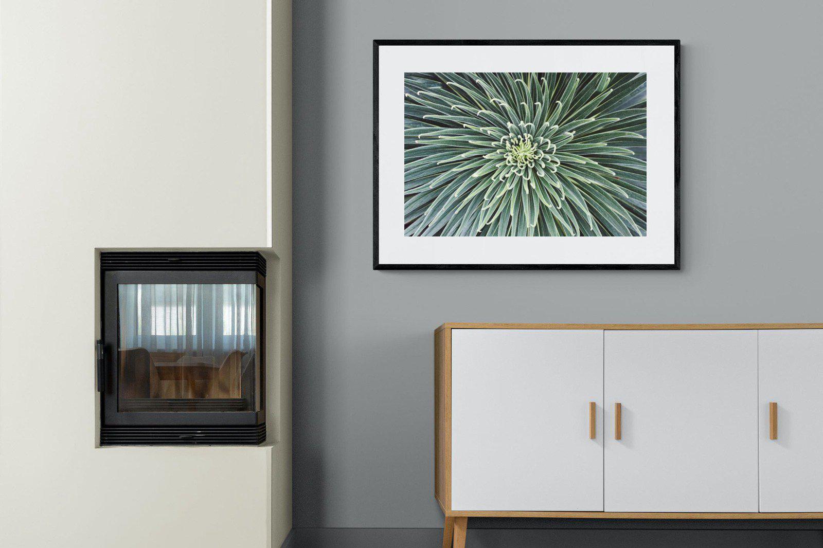 Cactus-Wall_Art-100 x 75cm-Framed Print-Black-Pixalot