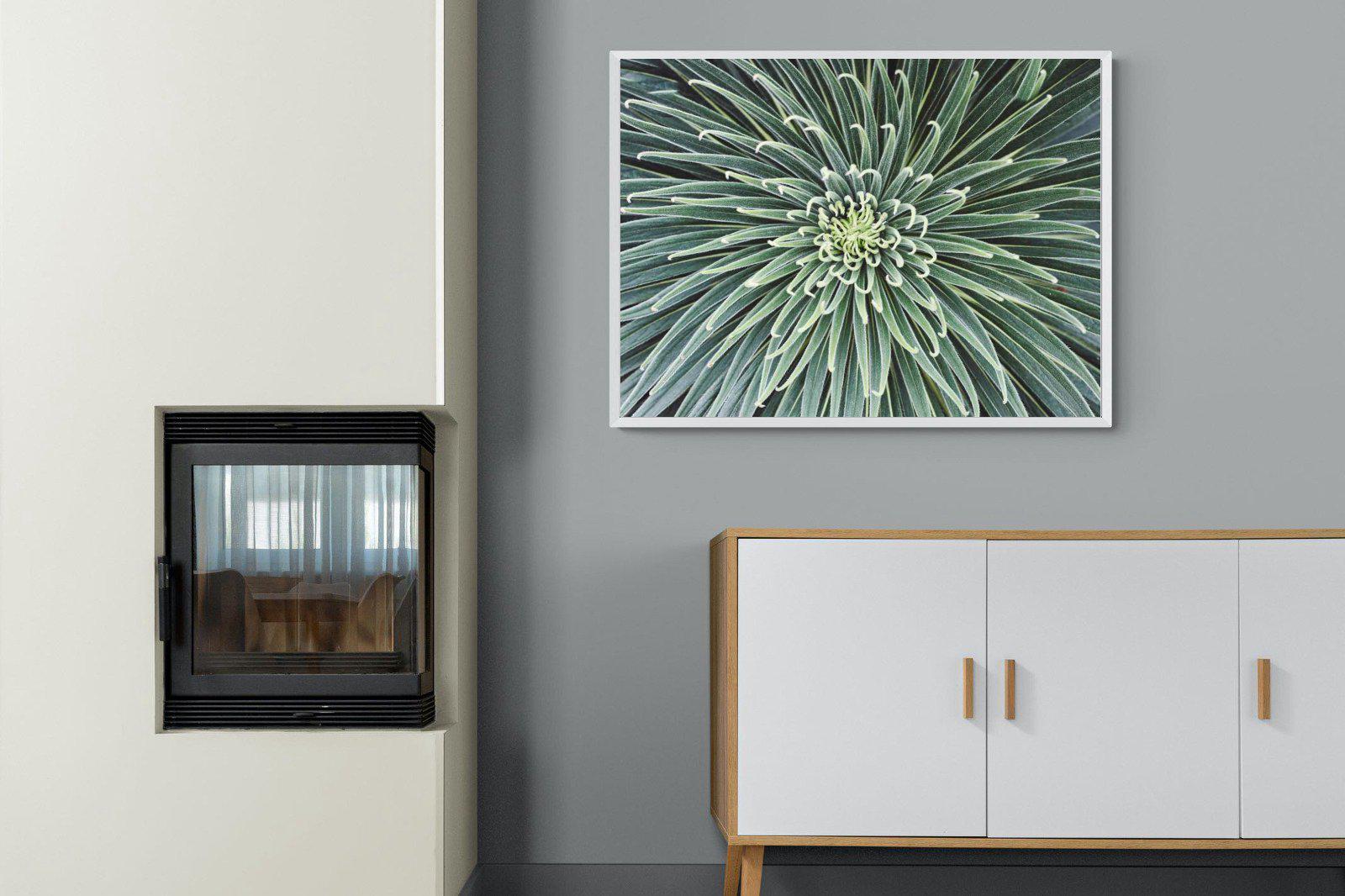 Cactus-Wall_Art-100 x 75cm-Mounted Canvas-White-Pixalot