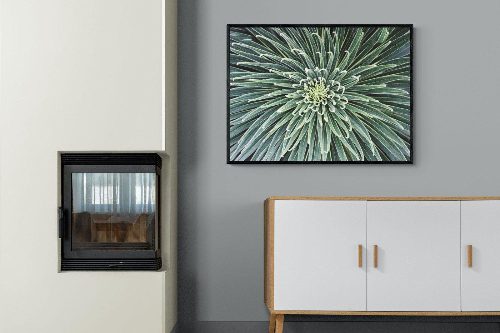 Cactus-Wall_Art-100 x 75cm-Mounted Canvas-Black-Pixalot