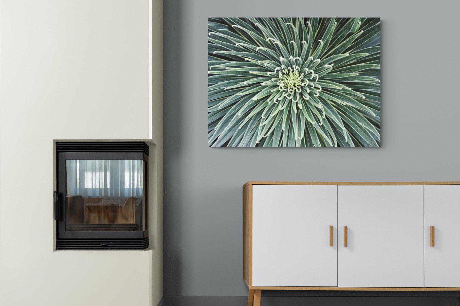 Cactus-Wall_Art-100 x 75cm-Mounted Canvas-No Frame-Pixalot