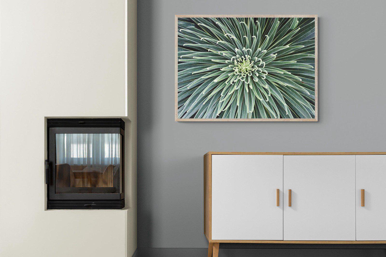 Cactus-Wall_Art-100 x 75cm-Mounted Canvas-Wood-Pixalot