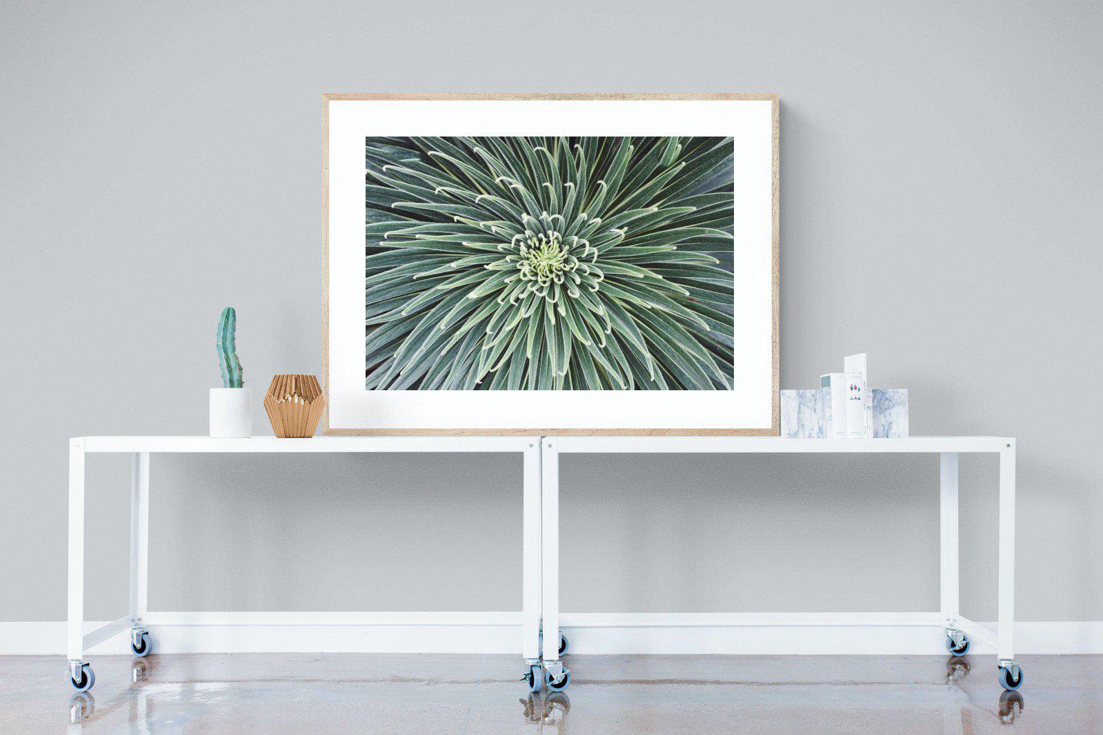 Cactus-Wall_Art-120 x 90cm-Framed Print-Wood-Pixalot