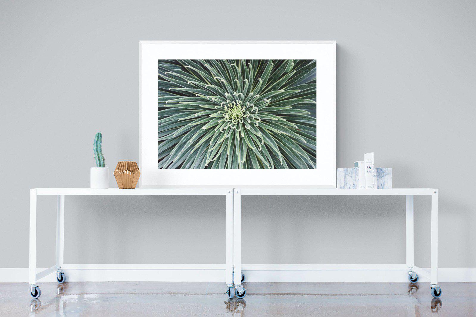 Cactus-Wall_Art-120 x 90cm-Framed Print-White-Pixalot