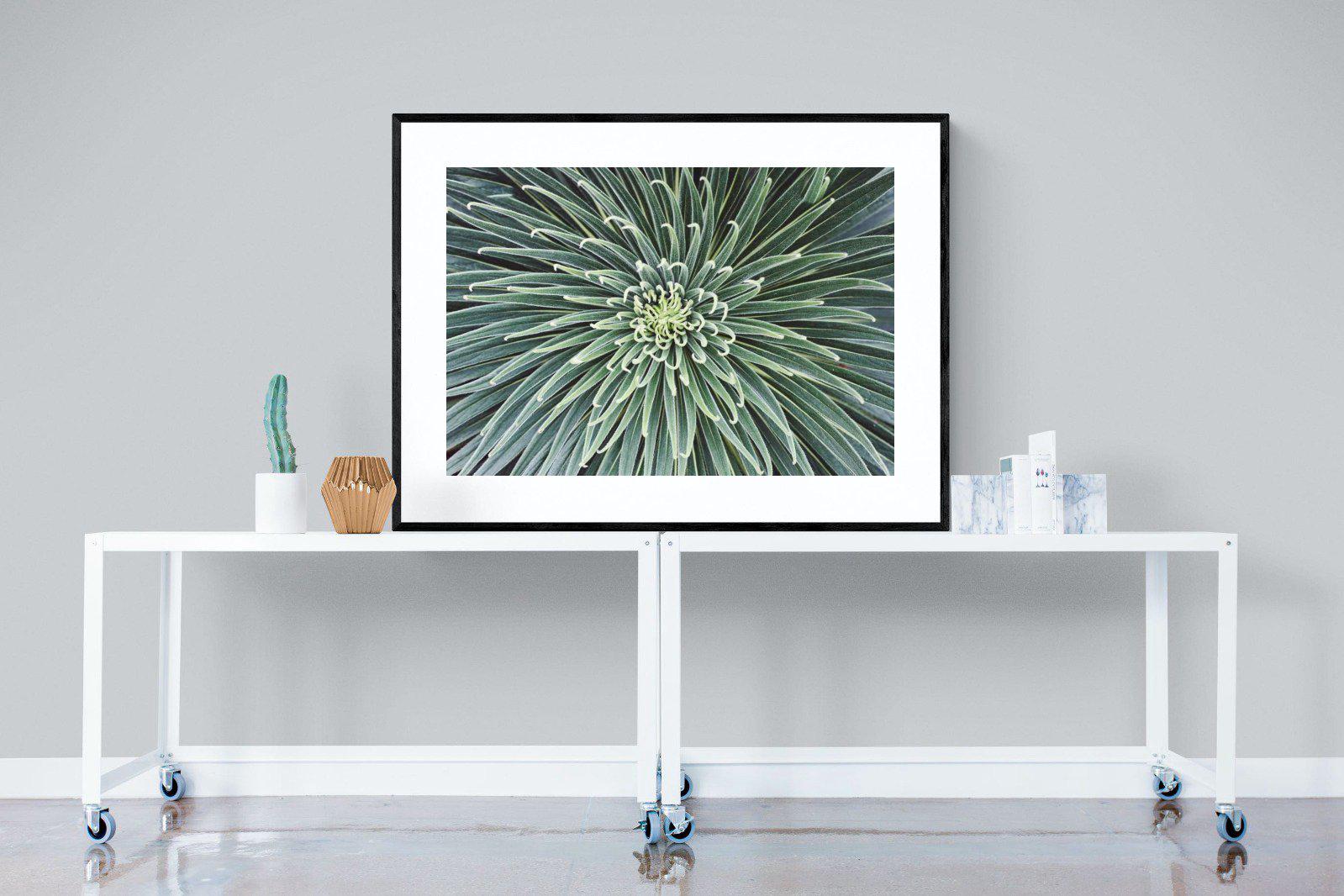 Cactus-Wall_Art-120 x 90cm-Framed Print-Black-Pixalot