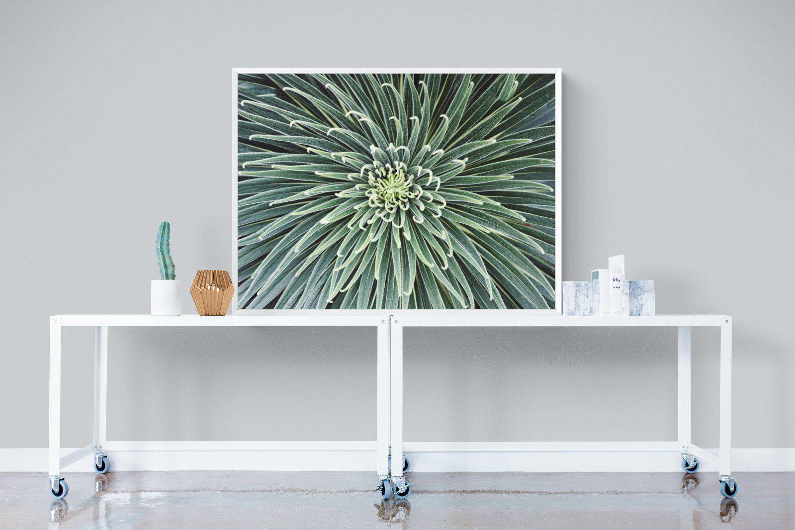 Cactus-Wall_Art-120 x 90cm-Mounted Canvas-White-Pixalot