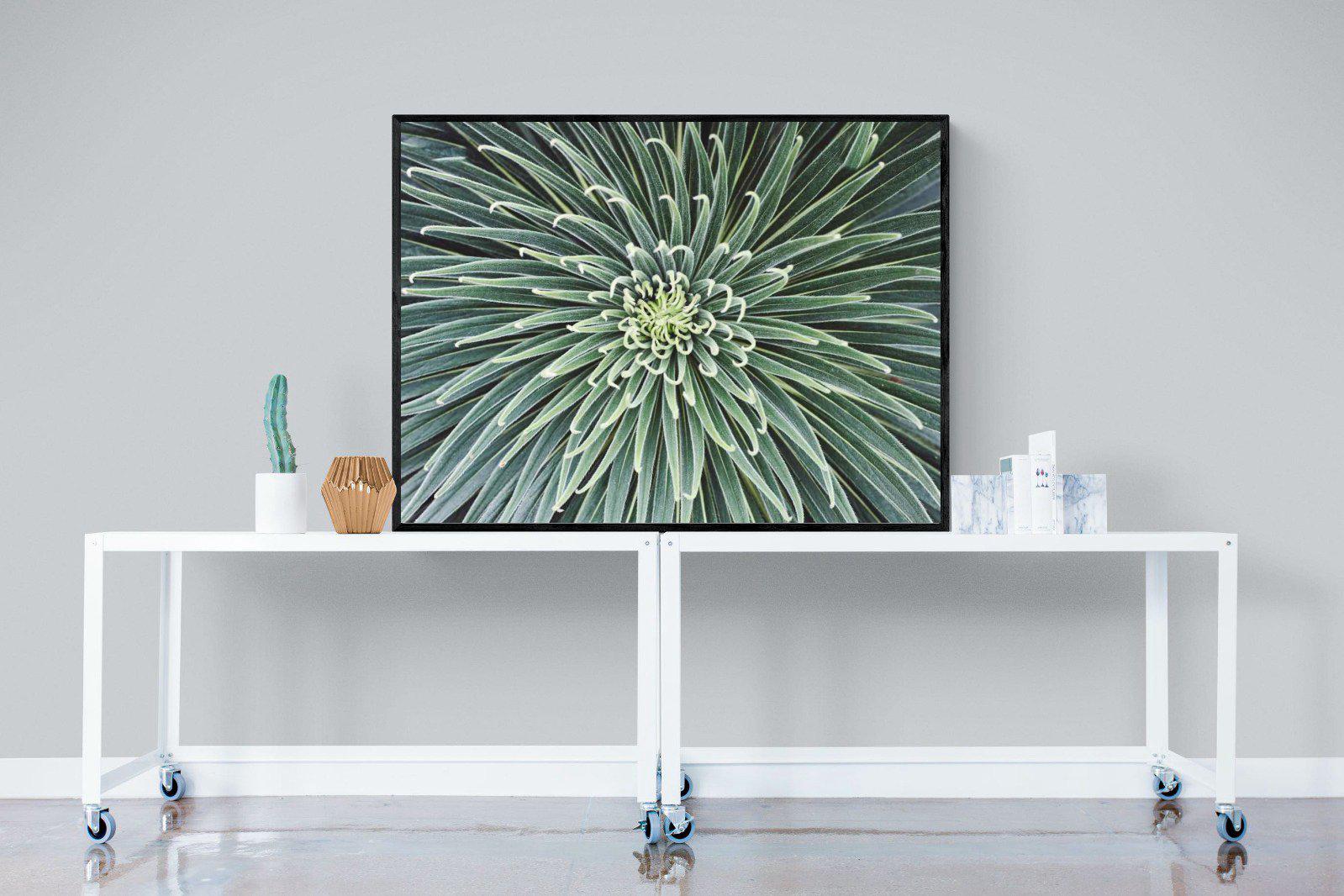 Cactus-Wall_Art-120 x 90cm-Mounted Canvas-Black-Pixalot