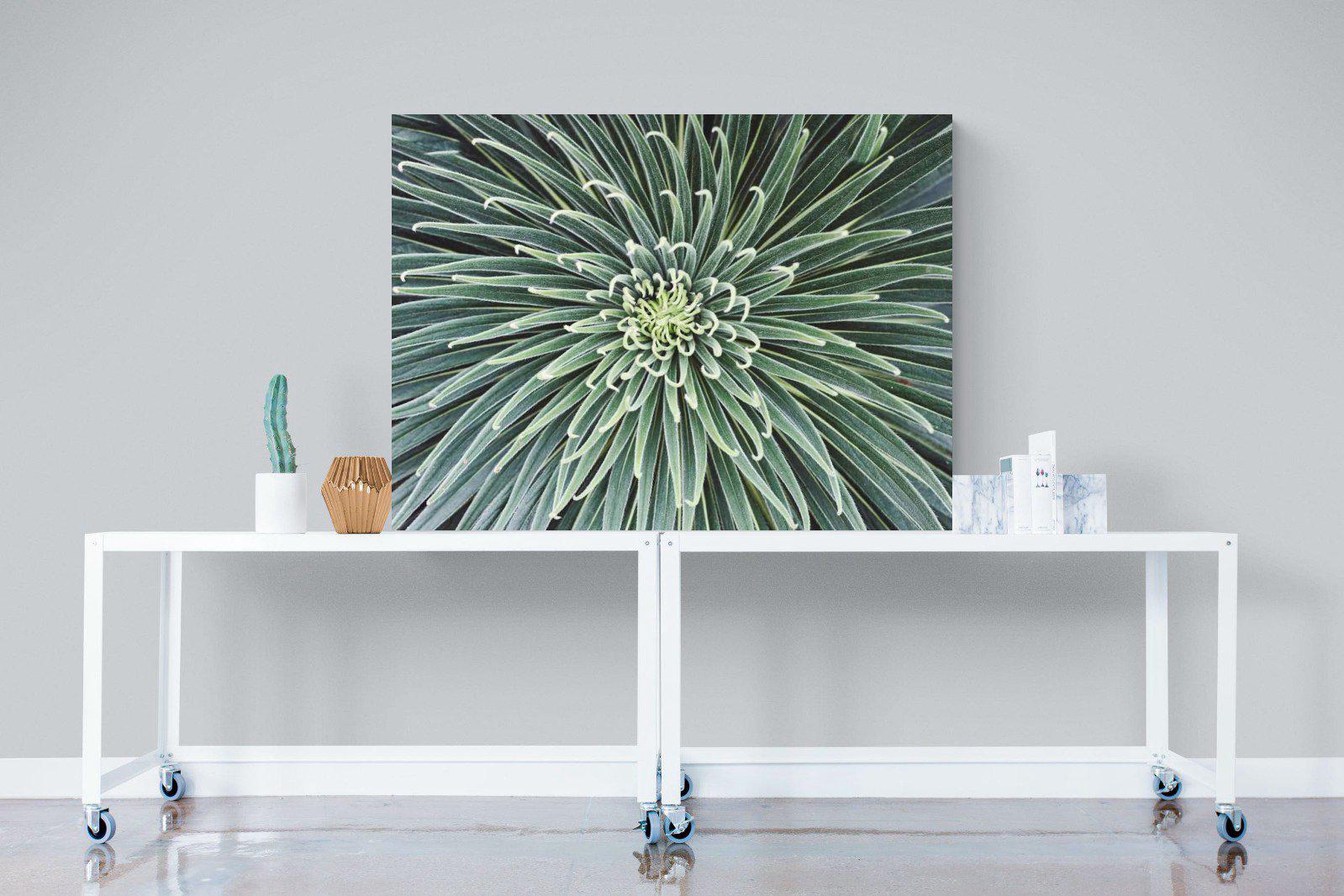 Cactus-Wall_Art-120 x 90cm-Mounted Canvas-No Frame-Pixalot
