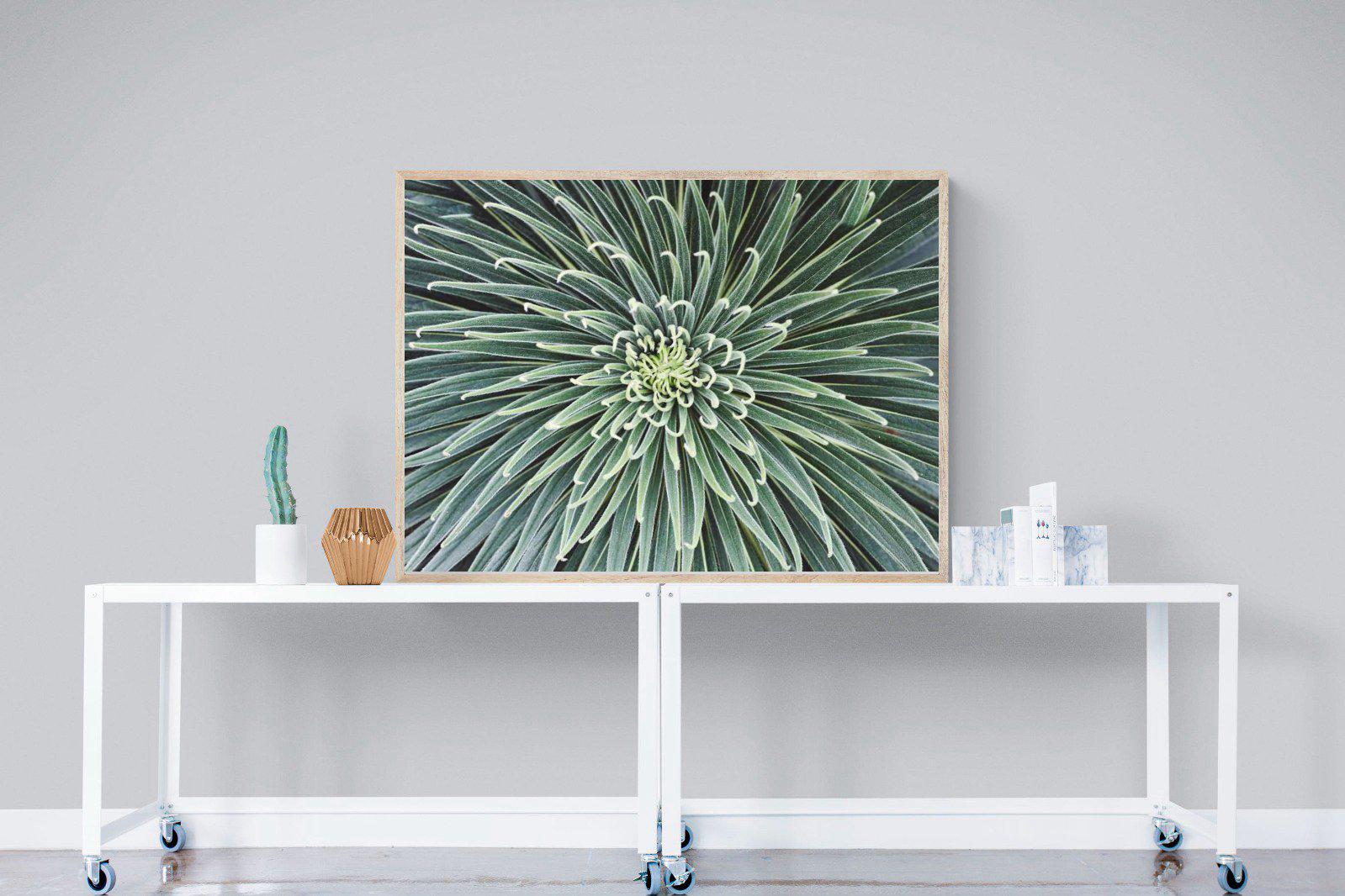 Cactus-Wall_Art-120 x 90cm-Mounted Canvas-Wood-Pixalot