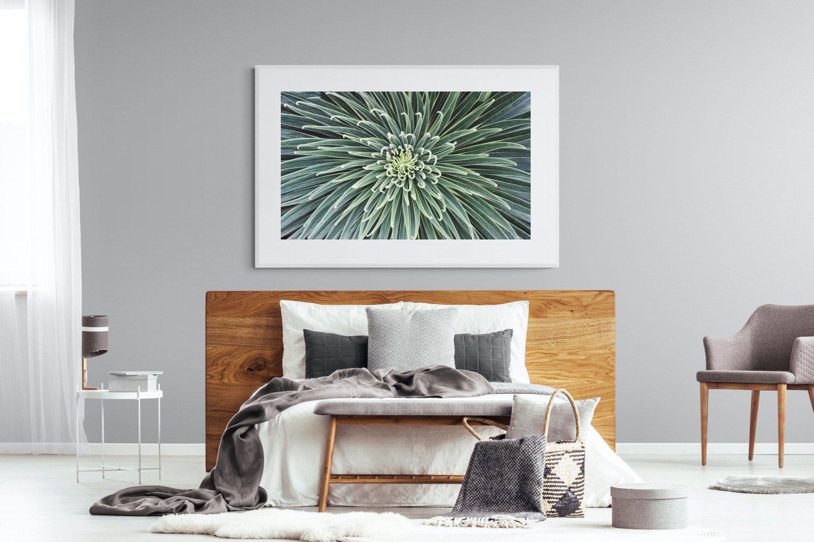 Cactus-Wall_Art-150 x 100cm-Framed Print-White-Pixalot