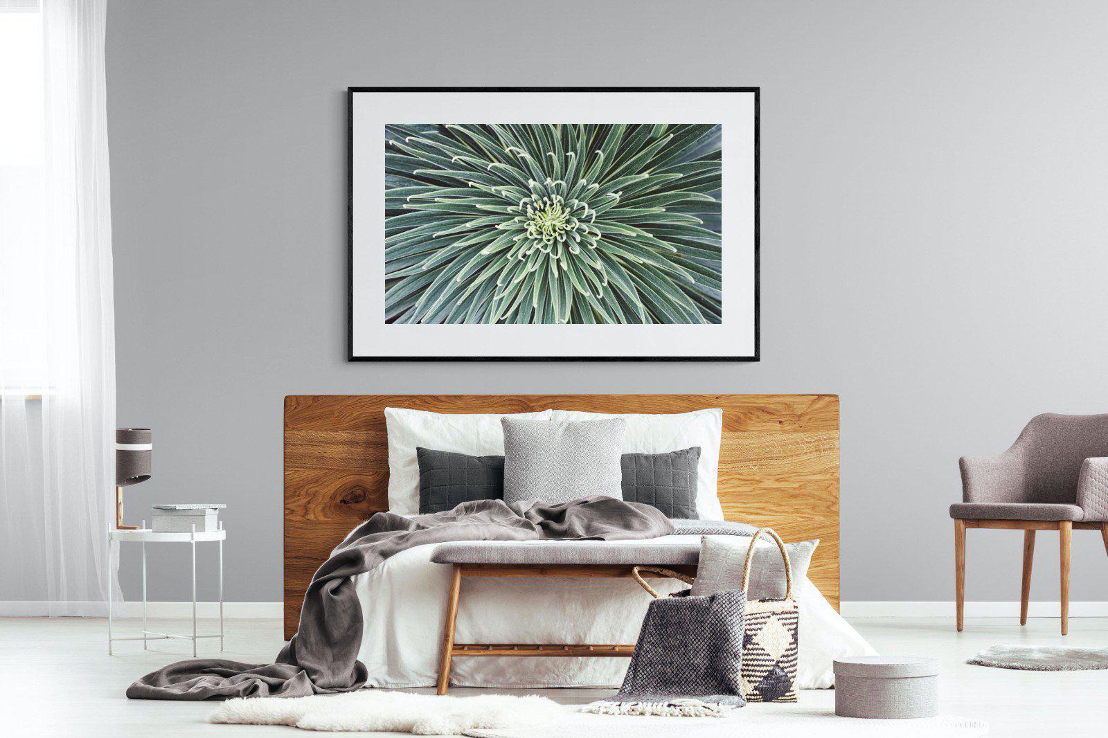 Cactus-Wall_Art-150 x 100cm-Framed Print-Black-Pixalot