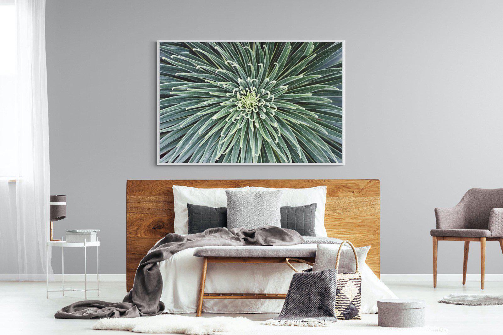 Cactus-Wall_Art-150 x 100cm-Mounted Canvas-White-Pixalot