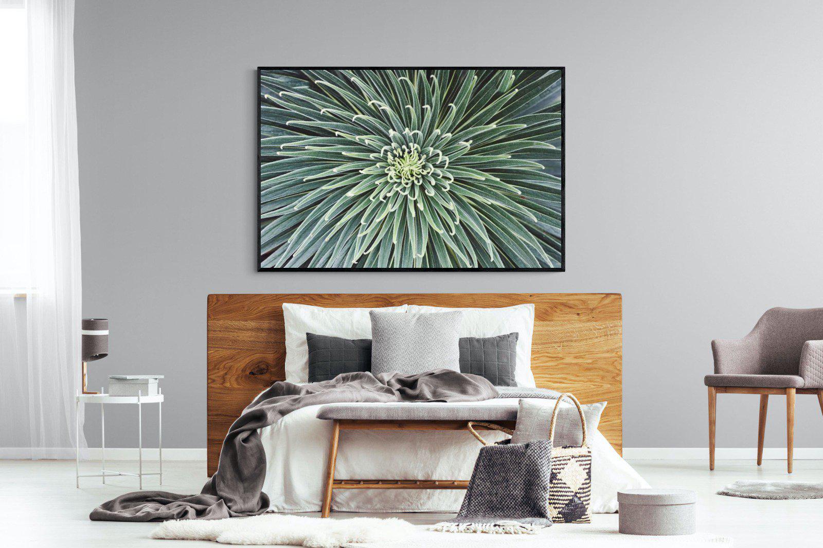 Cactus-Wall_Art-150 x 100cm-Mounted Canvas-Black-Pixalot