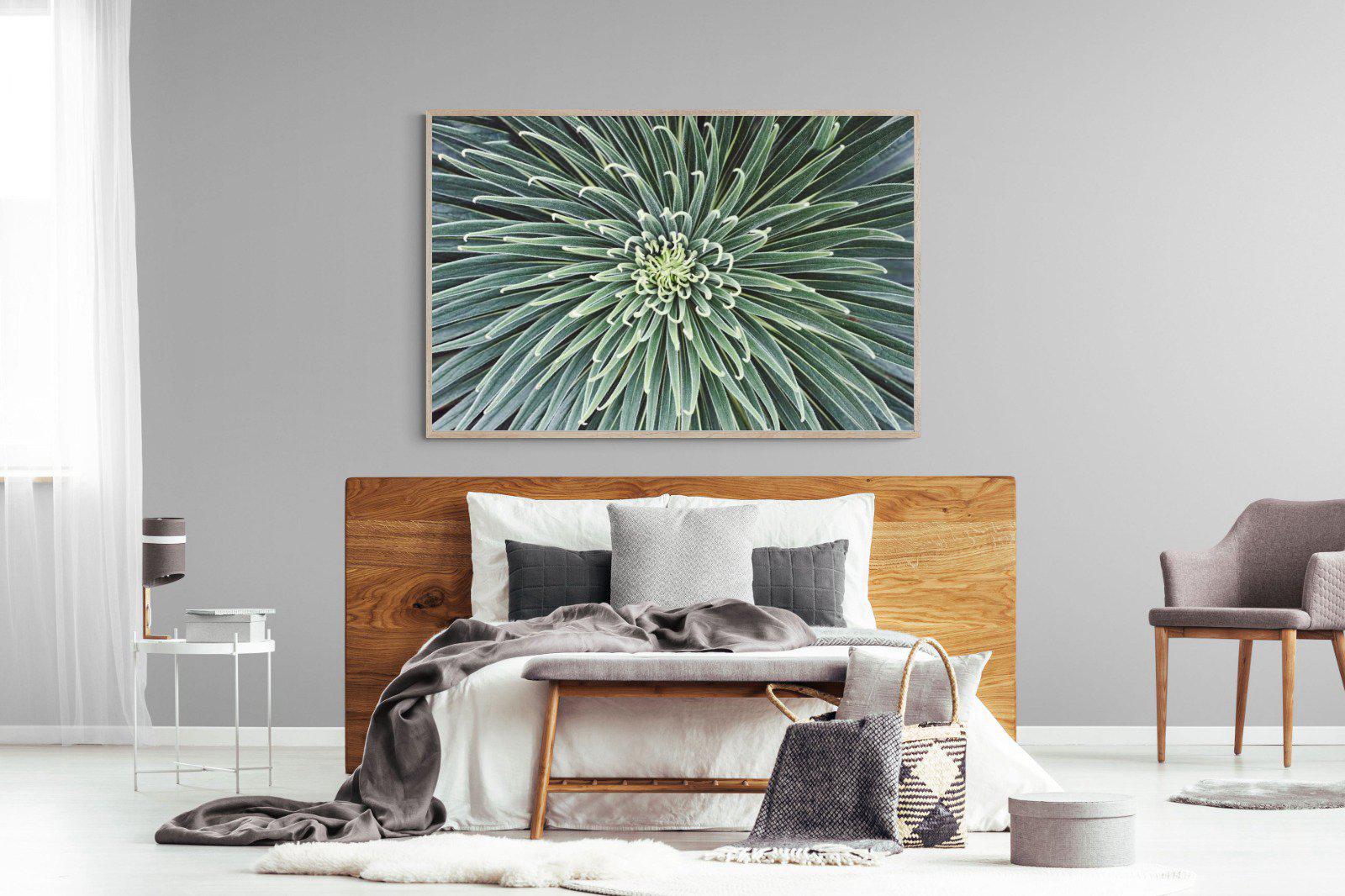 Cactus-Wall_Art-150 x 100cm-Mounted Canvas-Wood-Pixalot