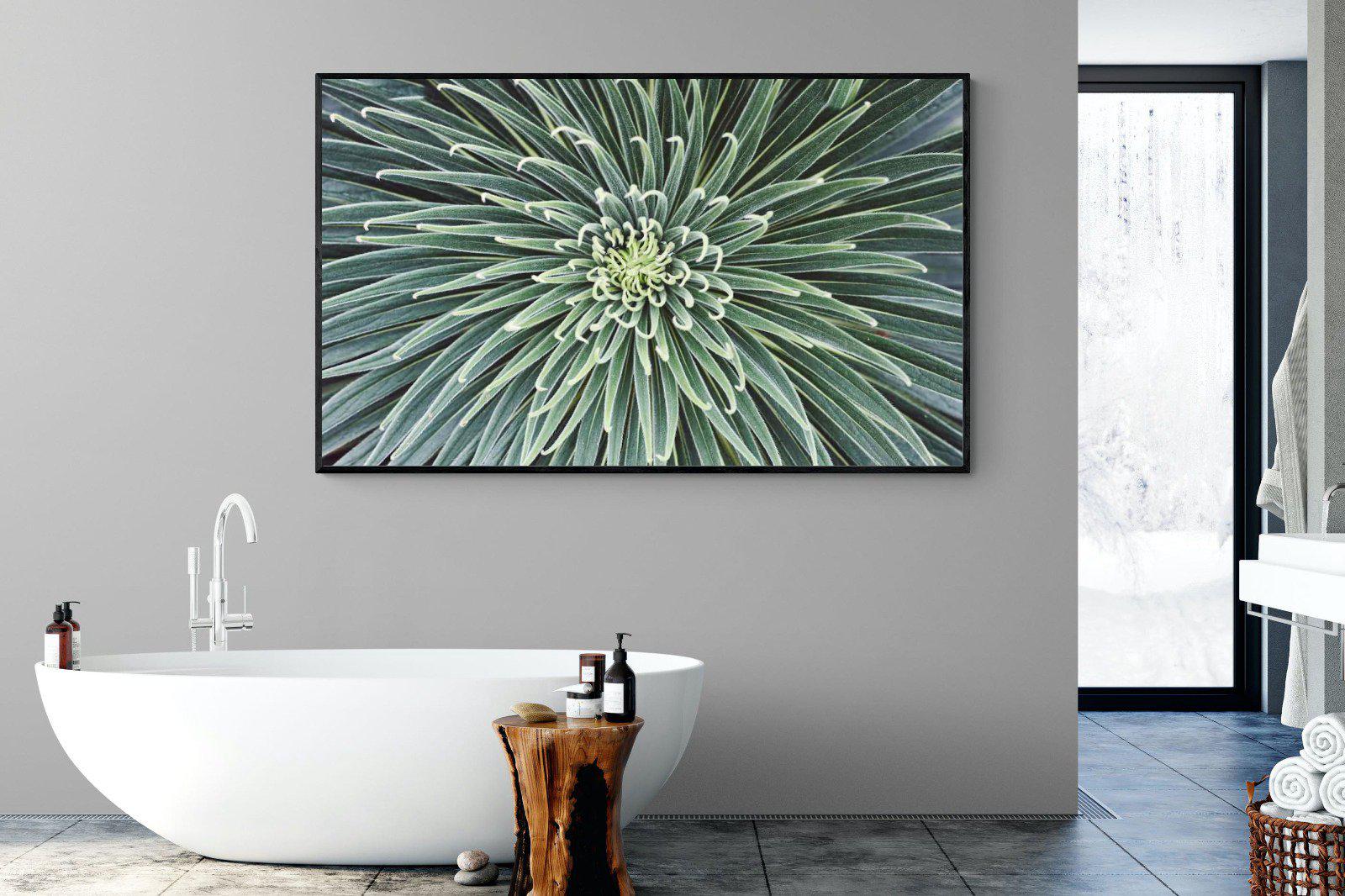 Cactus-Wall_Art-180 x 110cm-Mounted Canvas-Black-Pixalot