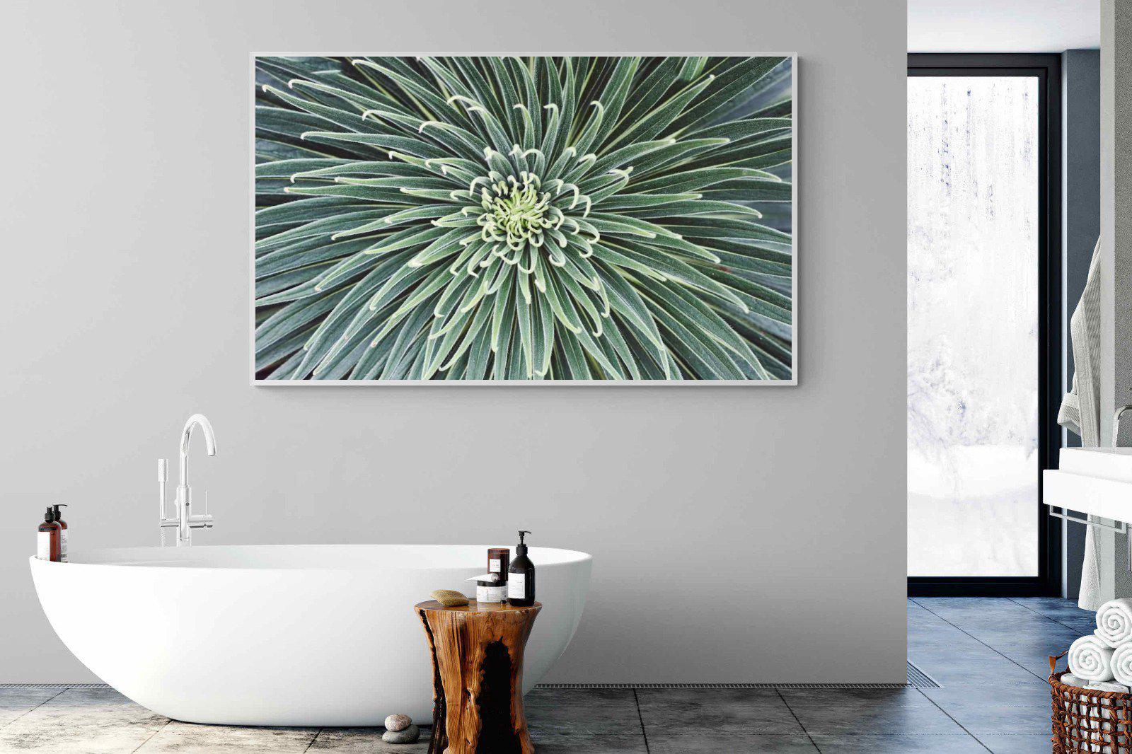Cactus-Wall_Art-180 x 110cm-Mounted Canvas-White-Pixalot