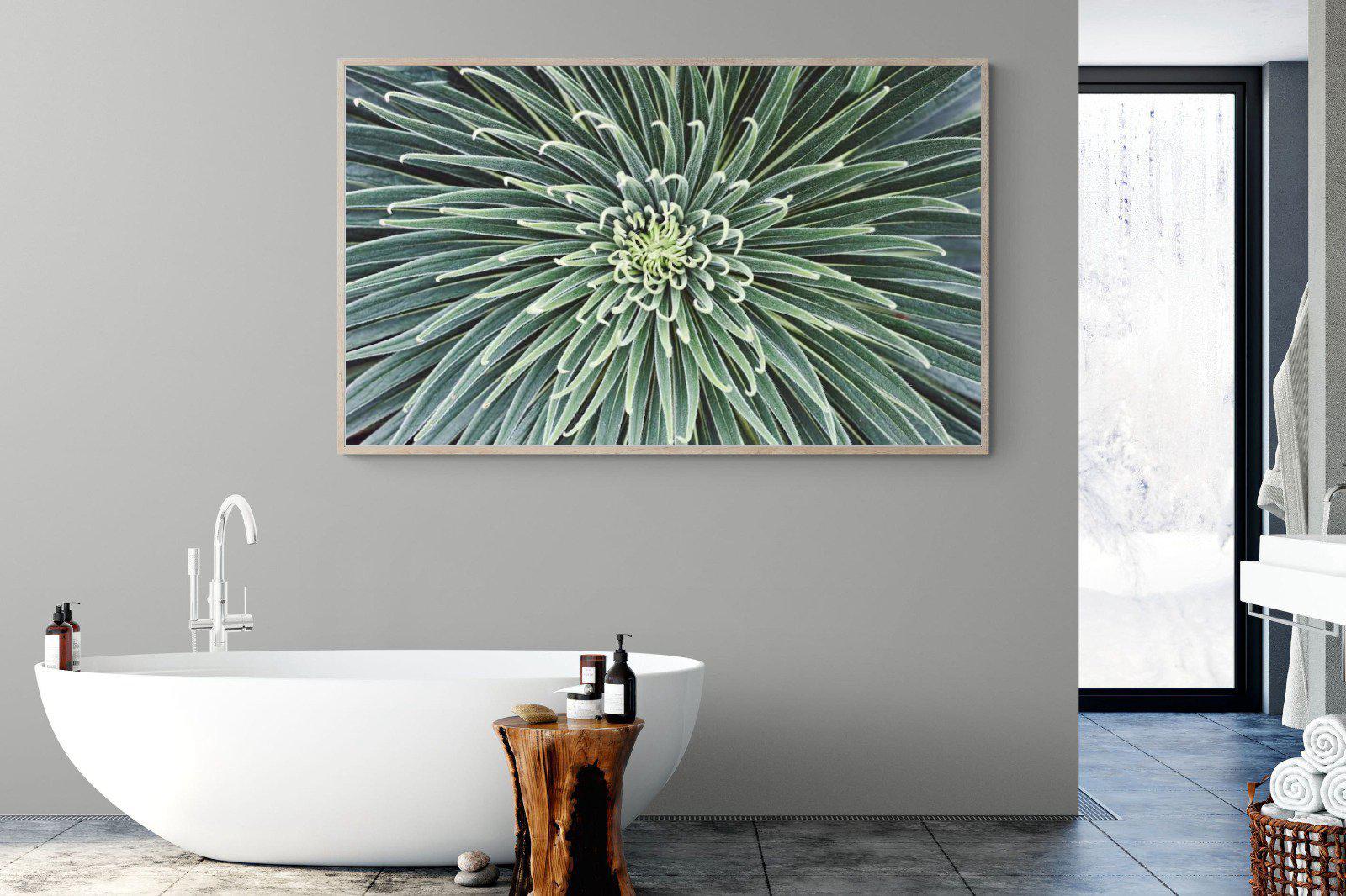 Cactus-Wall_Art-180 x 110cm-Mounted Canvas-Wood-Pixalot