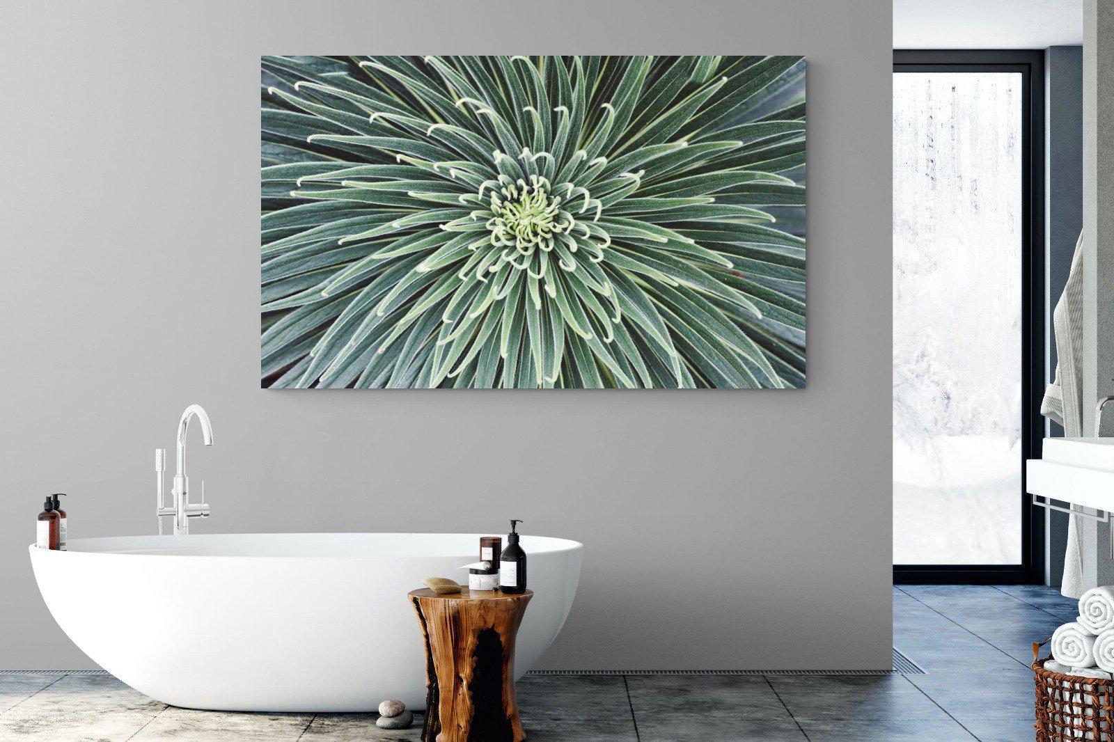 Cactus-Wall_Art-180 x 110cm-Mounted Canvas-No Frame-Pixalot
