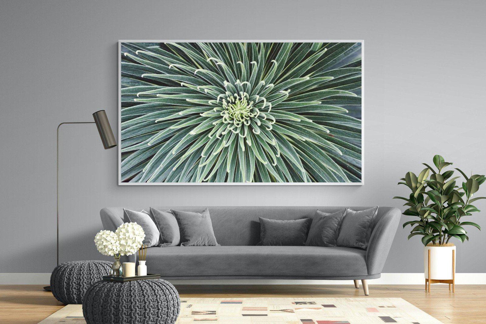 Cactus-Wall_Art-220 x 130cm-Mounted Canvas-White-Pixalot