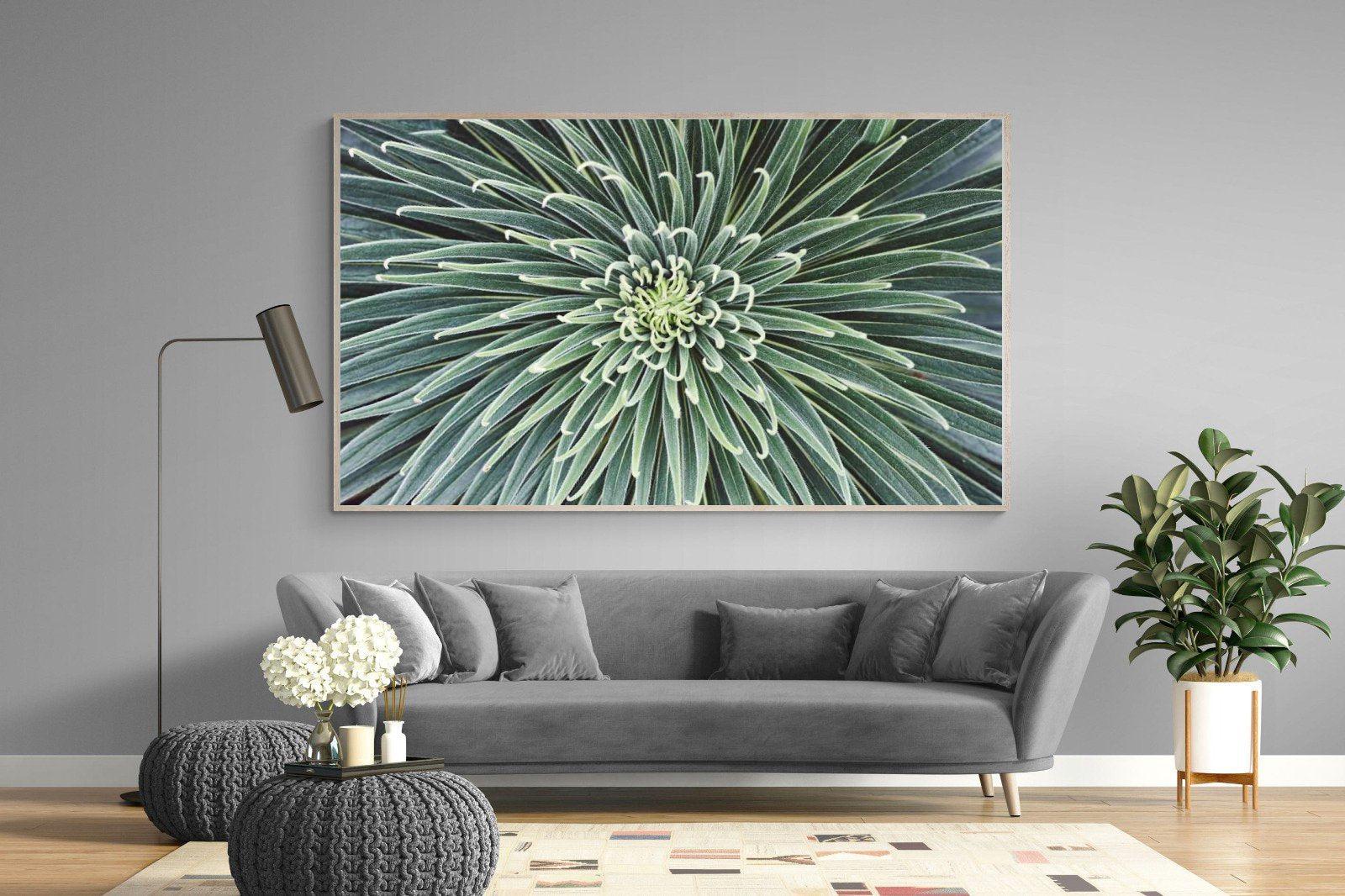 Cactus-Wall_Art-220 x 130cm-Mounted Canvas-Wood-Pixalot