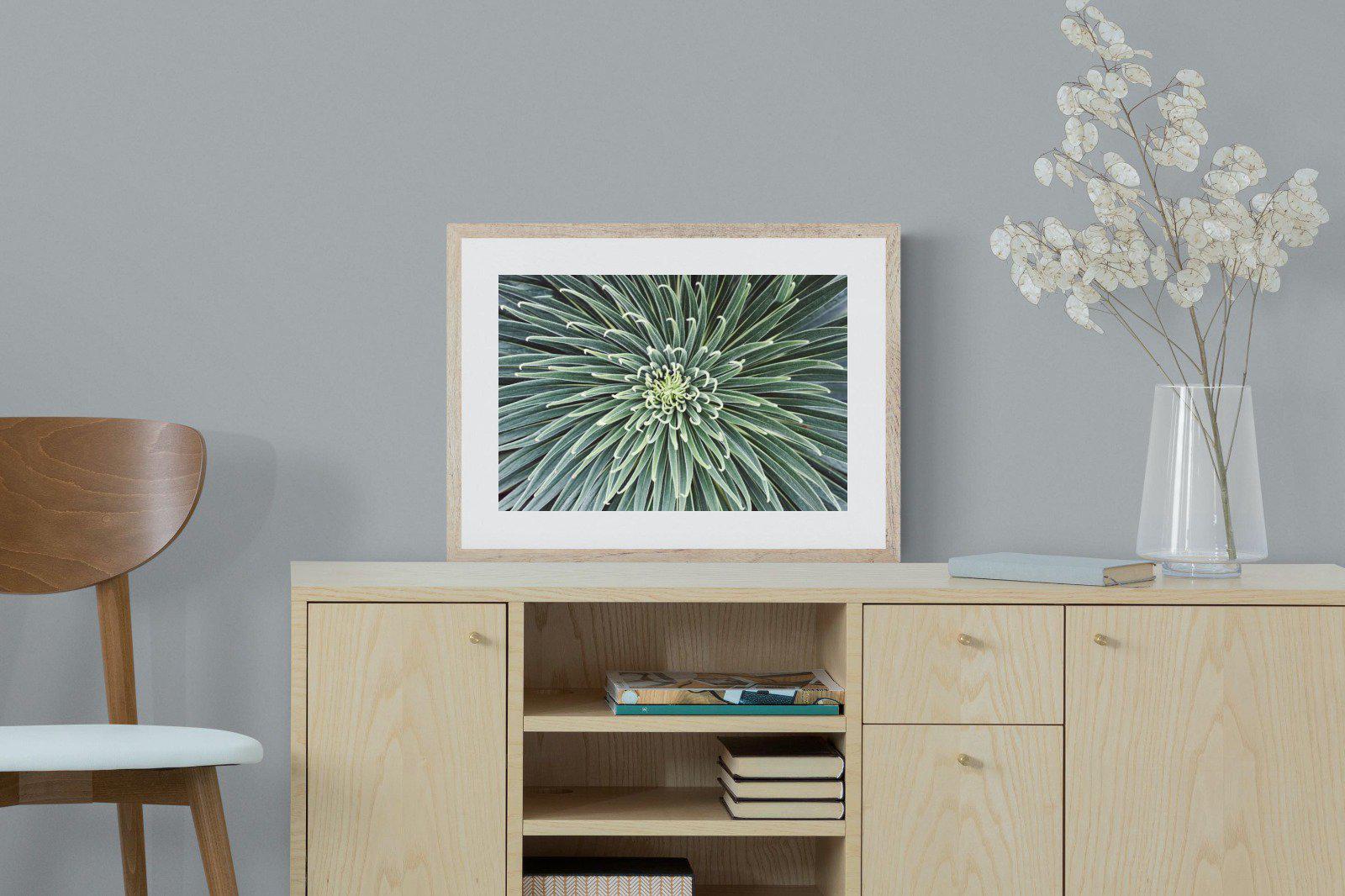 Cactus-Wall_Art-60 x 45cm-Framed Print-Wood-Pixalot