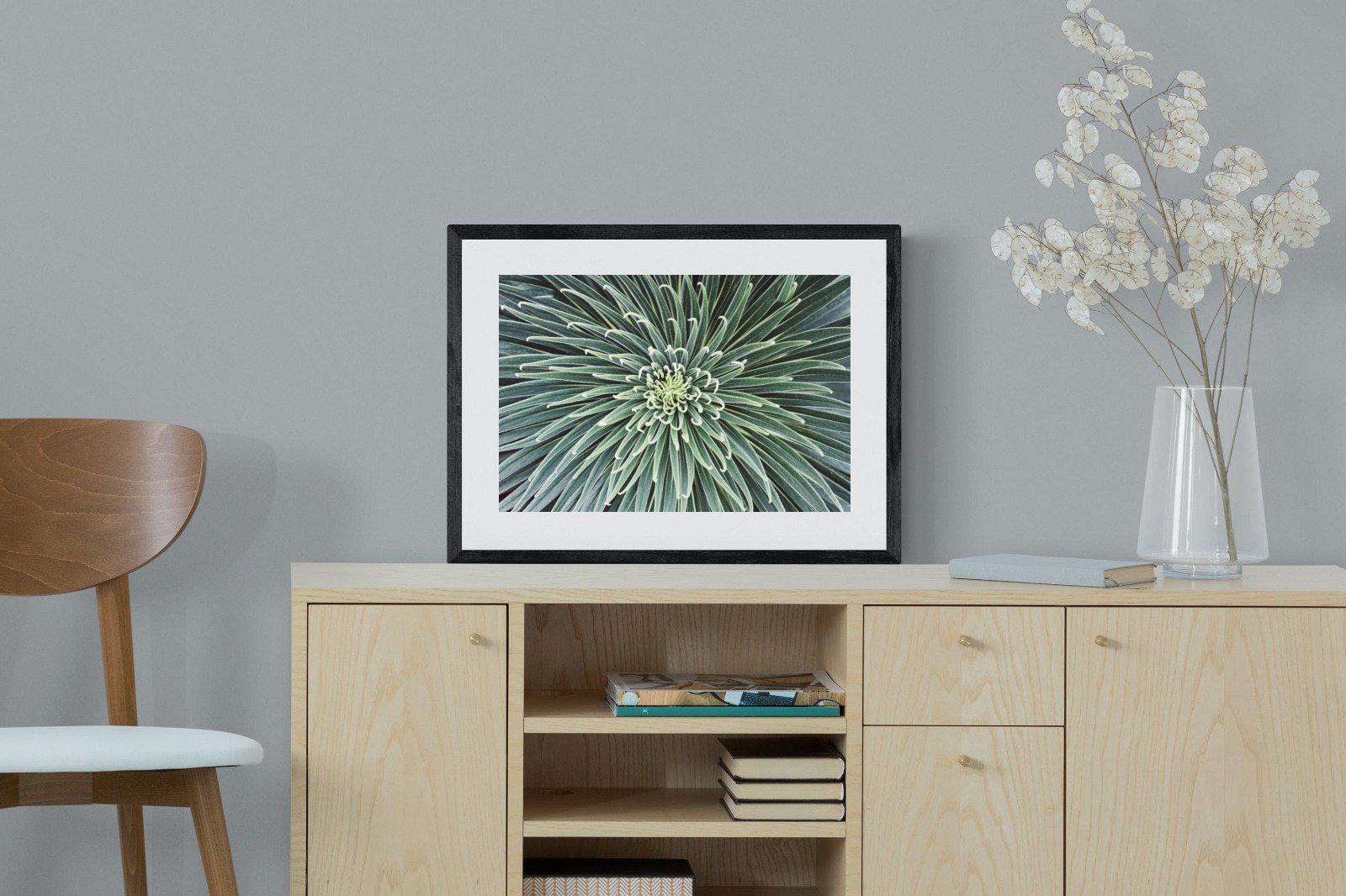 Cactus-Wall_Art-60 x 45cm-Framed Print-Black-Pixalot