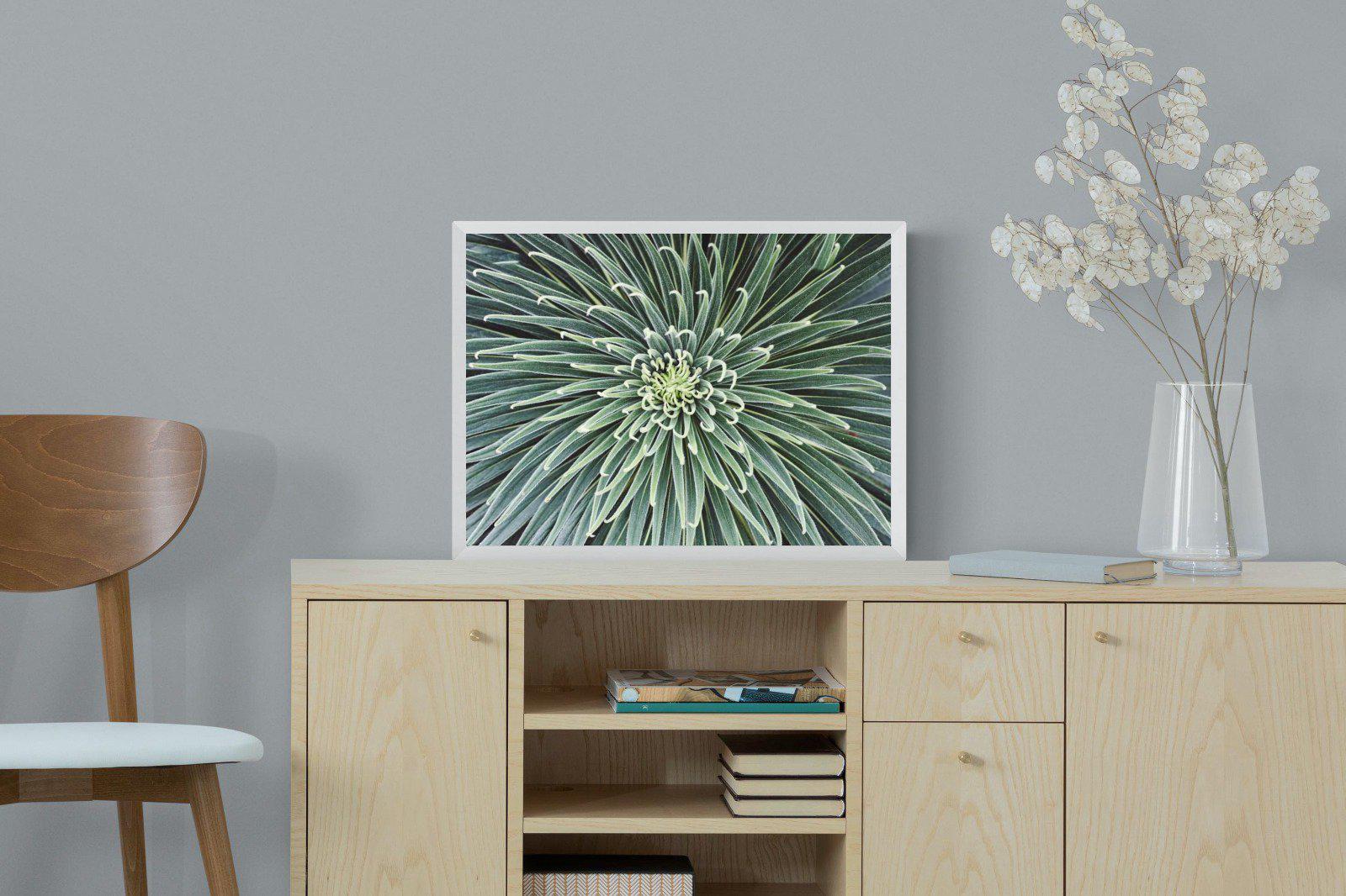 Cactus-Wall_Art-60 x 45cm-Mounted Canvas-White-Pixalot