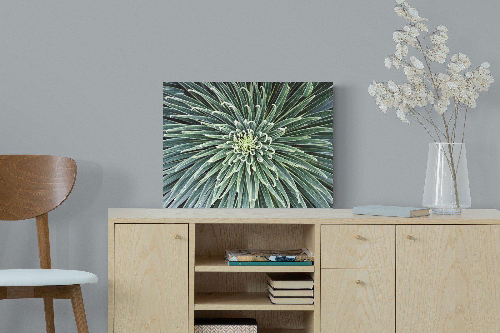 Cactus-Wall_Art-60 x 45cm-Mounted Canvas-No Frame-Pixalot