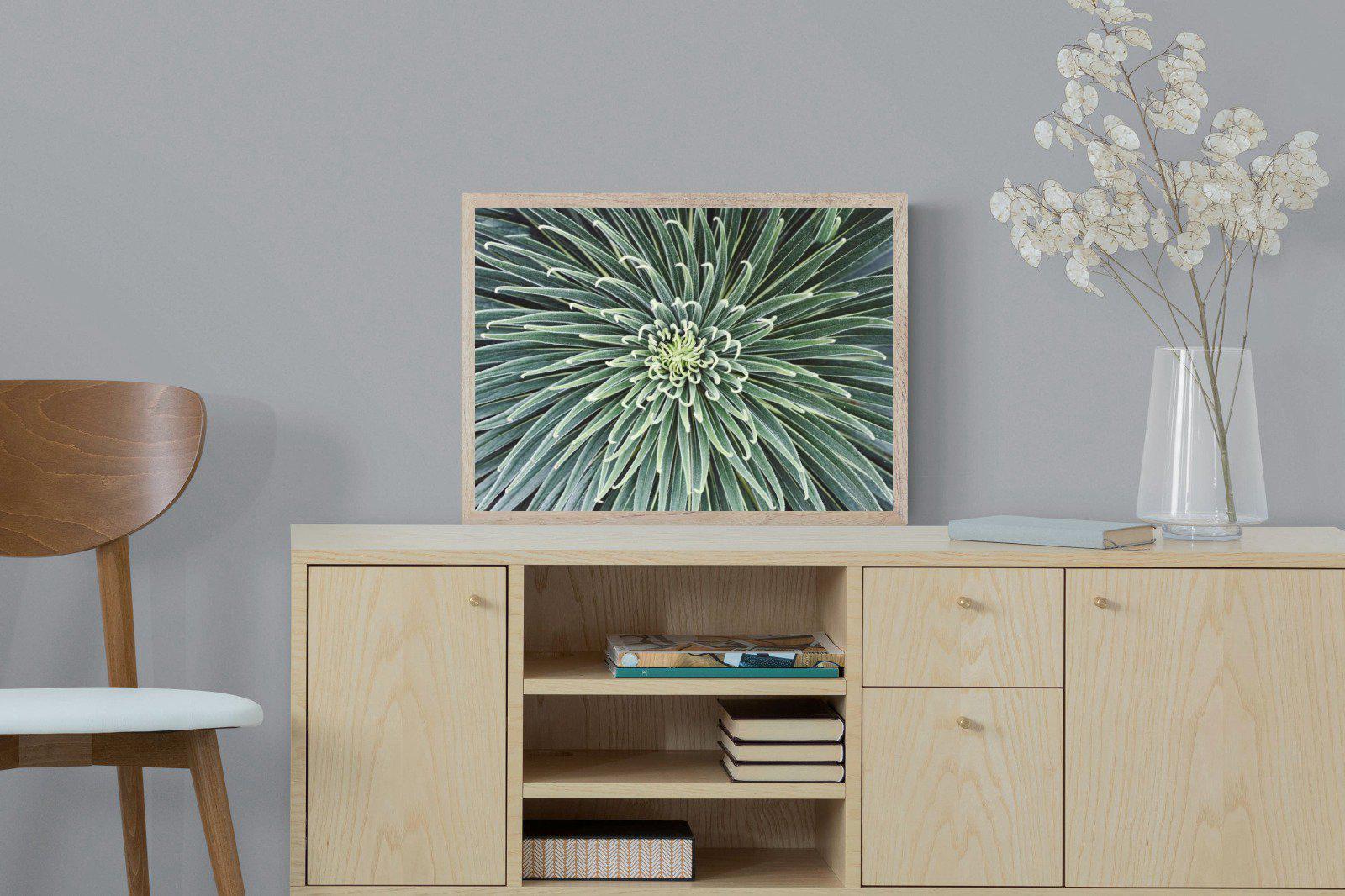Cactus-Wall_Art-60 x 45cm-Mounted Canvas-Wood-Pixalot