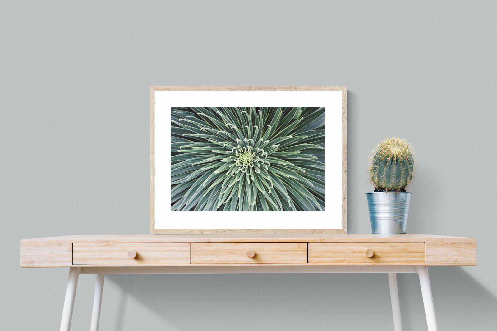 Cactus-Wall_Art-80 x 60cm-Framed Print-Wood-Pixalot