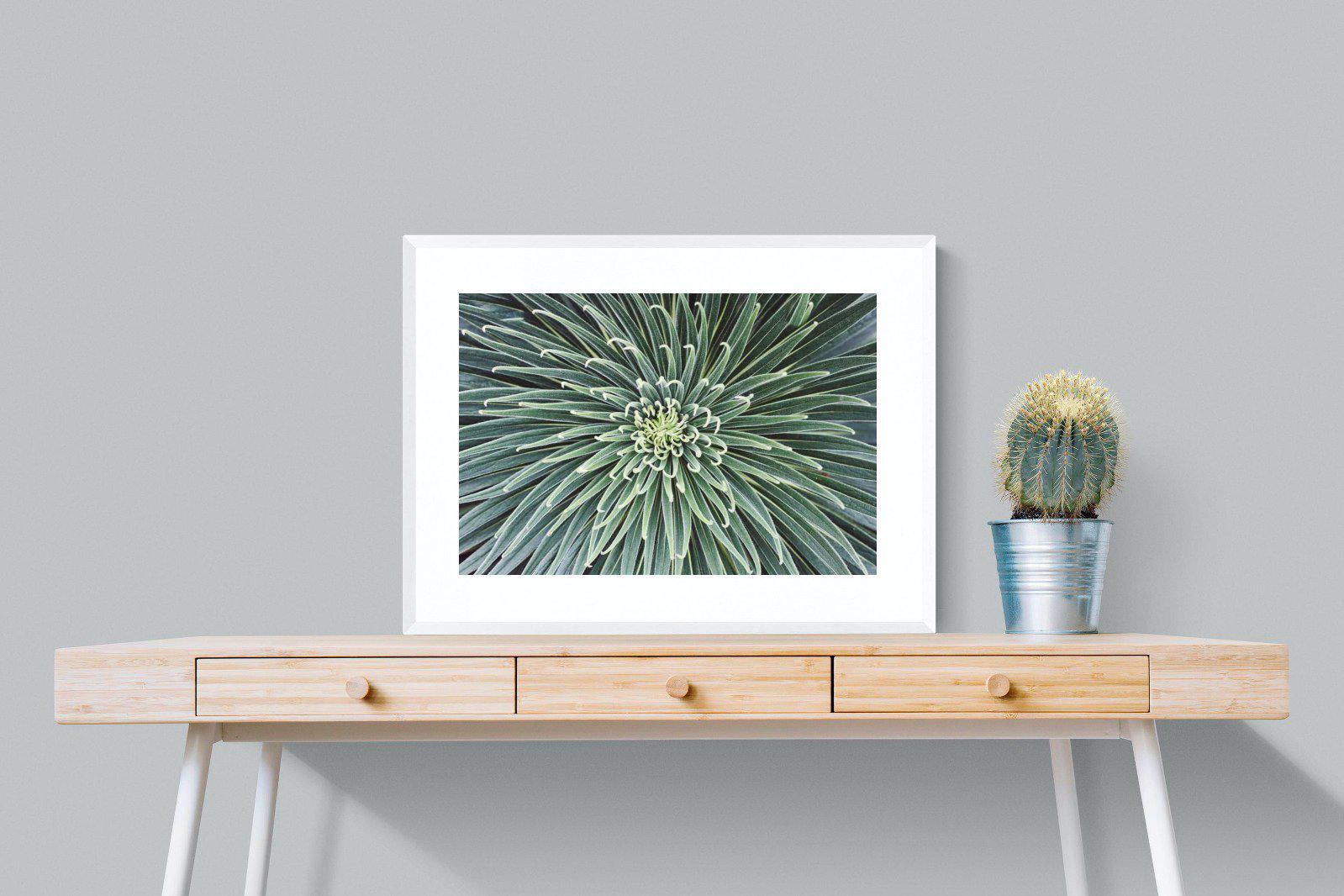 Cactus-Wall_Art-80 x 60cm-Framed Print-White-Pixalot