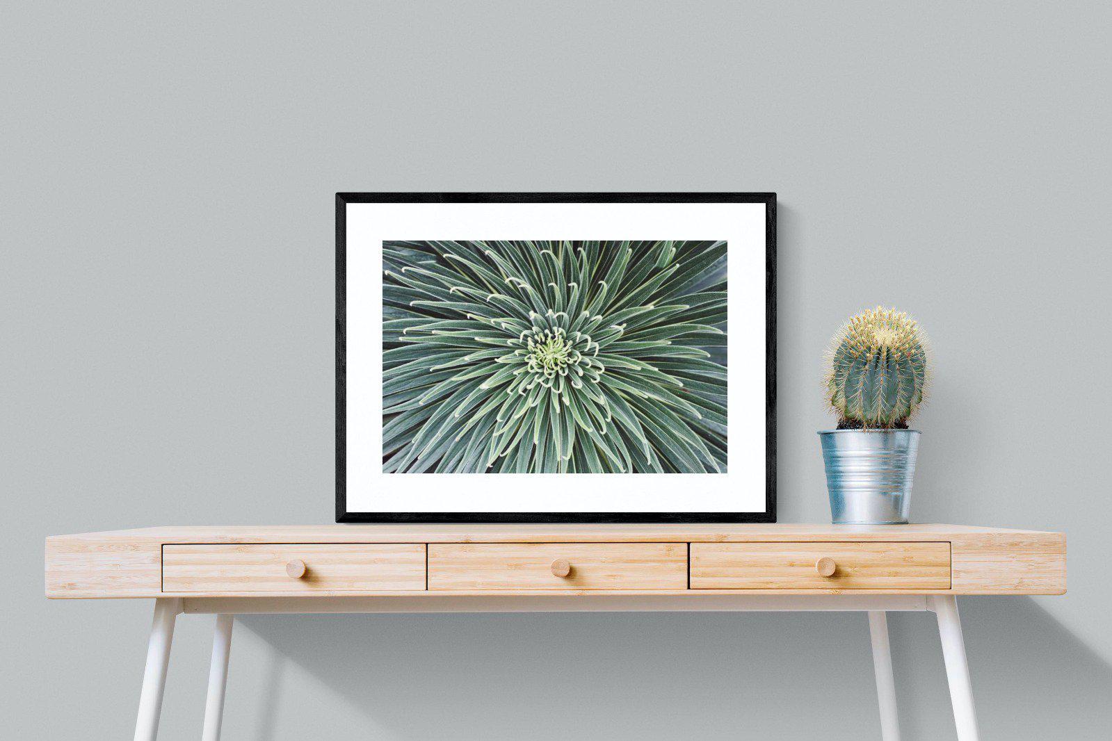 Cactus-Wall_Art-80 x 60cm-Framed Print-Black-Pixalot