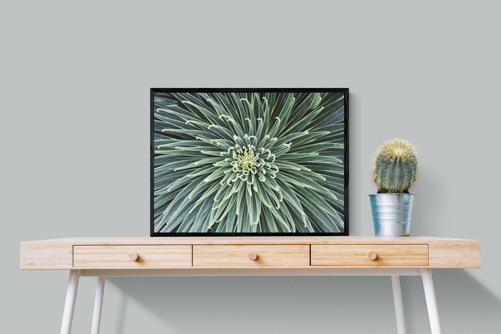 Cactus-Wall_Art-80 x 60cm-Mounted Canvas-Black-Pixalot