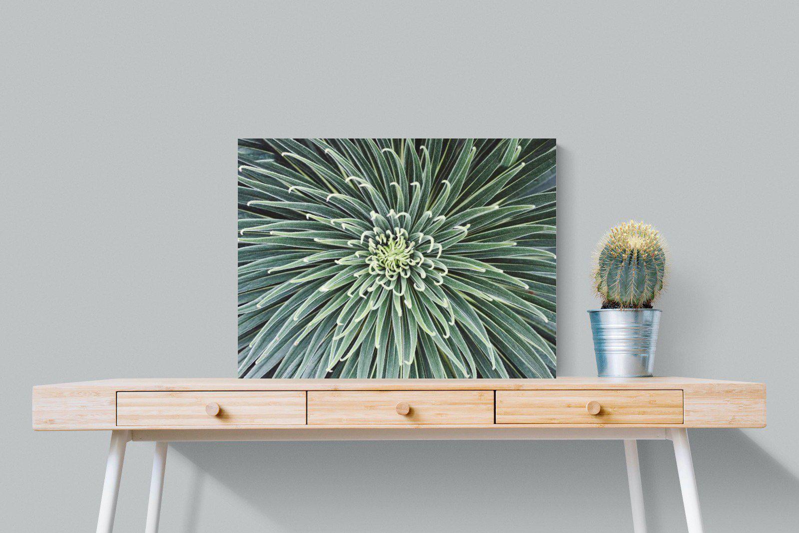 Cactus-Wall_Art-80 x 60cm-Mounted Canvas-No Frame-Pixalot