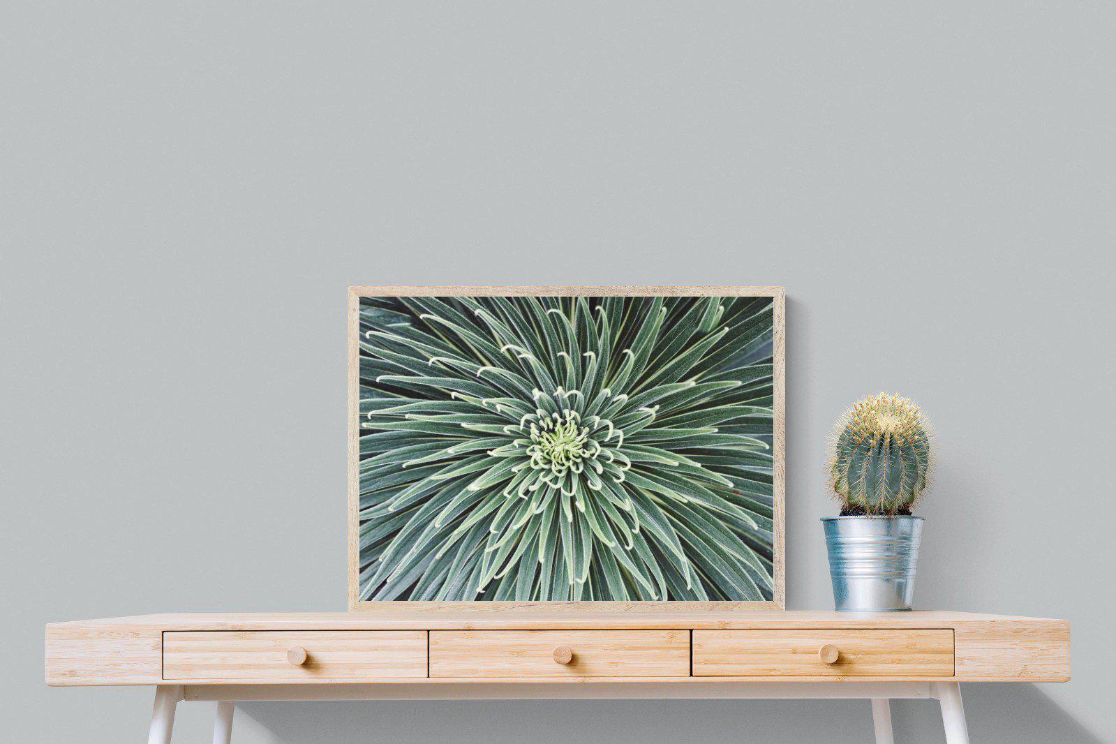 Cactus-Wall_Art-80 x 60cm-Mounted Canvas-Wood-Pixalot