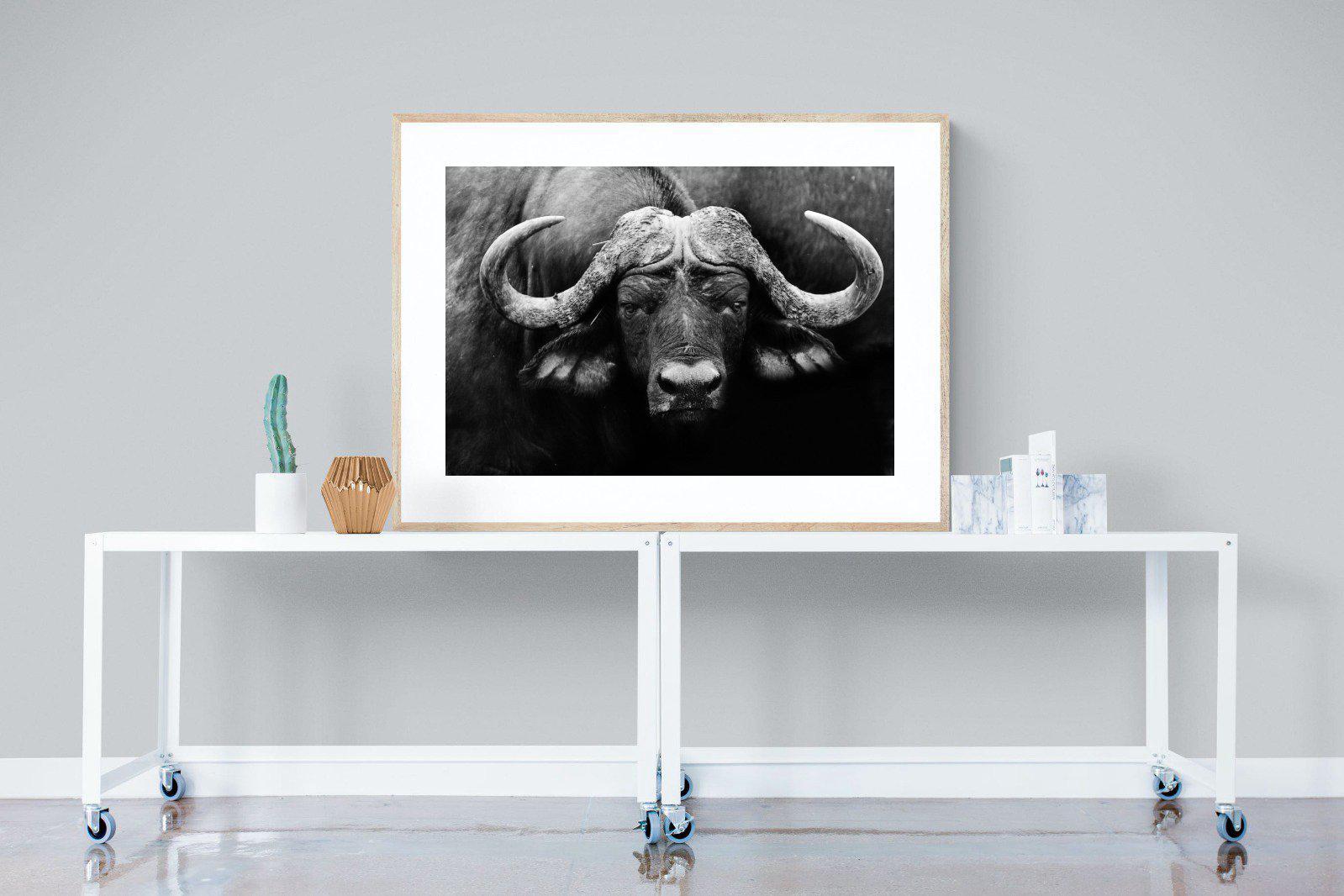 Cape Buffalo-Wall_Art-120 x 90cm-Framed Print-Wood-Pixalot