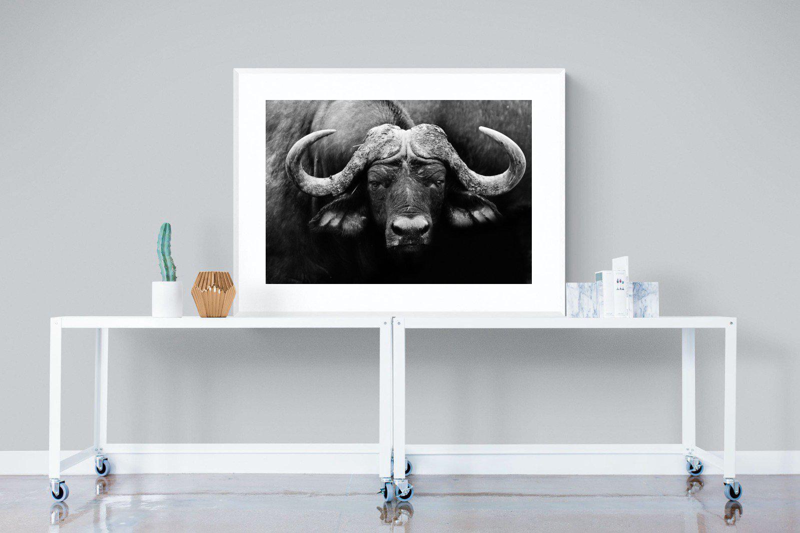 Cape Buffalo-Wall_Art-120 x 90cm-Framed Print-White-Pixalot
