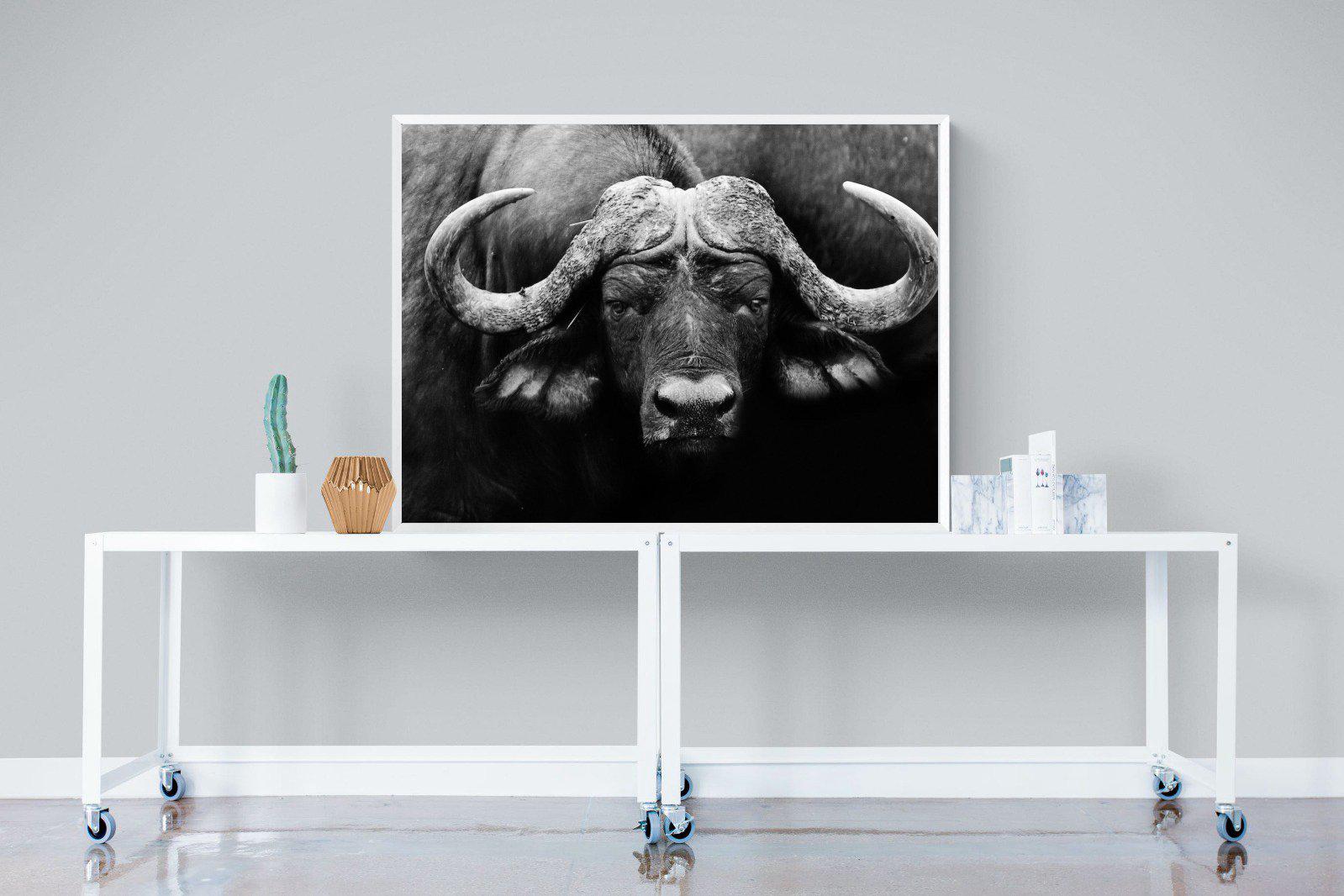 Cape Buffalo-Wall_Art-120 x 90cm-Mounted Canvas-White-Pixalot