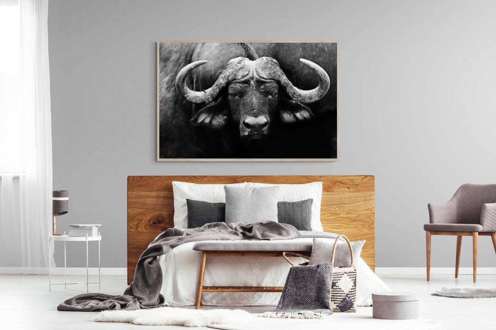 Cape Buffalo-Wall_Art-150 x 100cm-Mounted Canvas-Wood-Pixalot