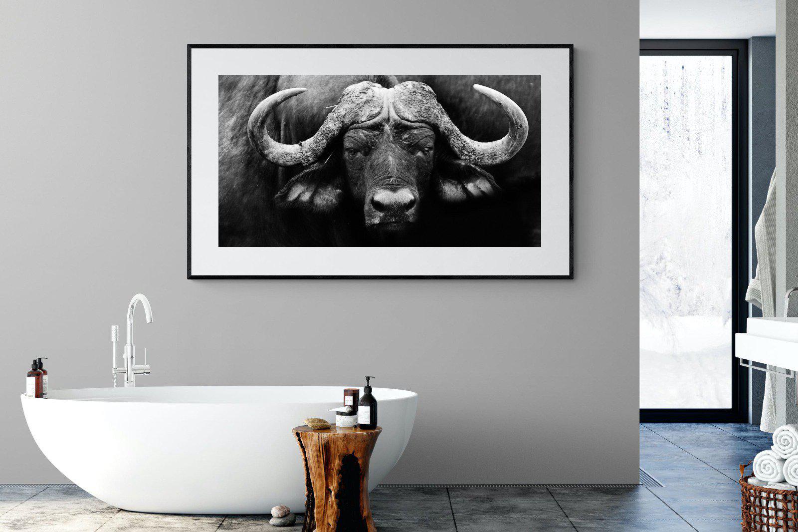 Cape Buffalo-Wall_Art-180 x 110cm-Framed Print-Black-Pixalot