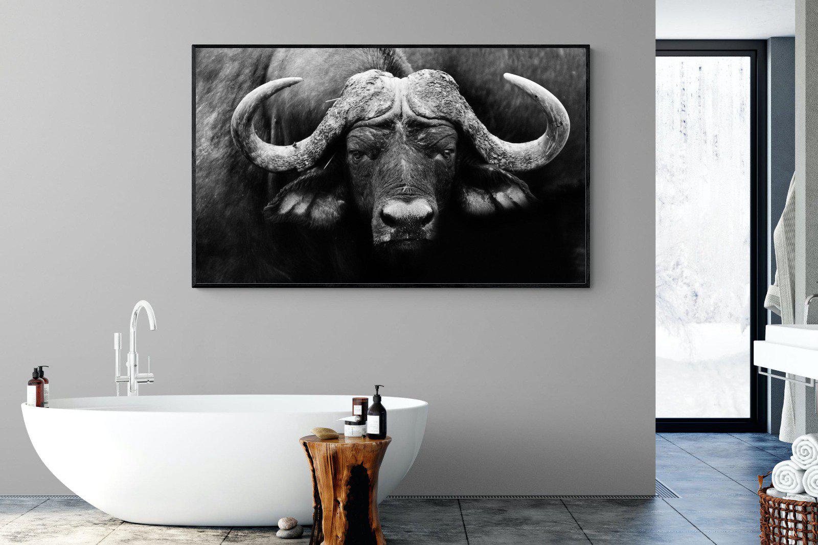 Cape Buffalo-Wall_Art-180 x 110cm-Mounted Canvas-Black-Pixalot