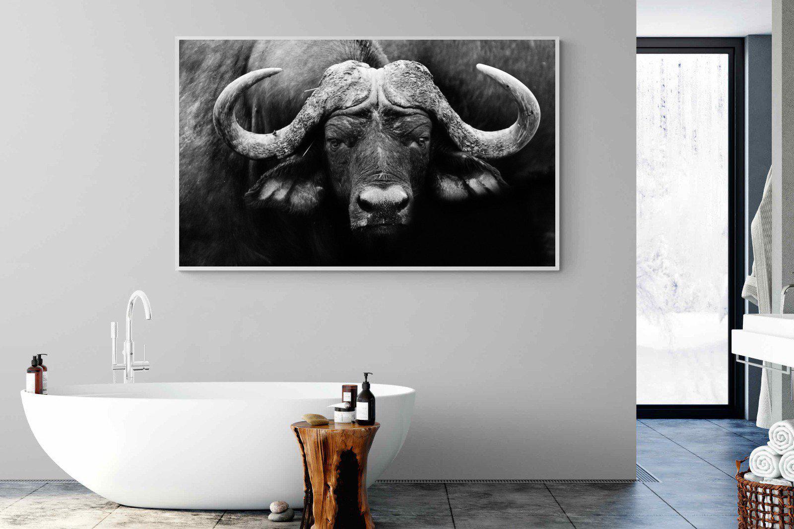 Cape Buffalo-Wall_Art-180 x 110cm-Mounted Canvas-White-Pixalot