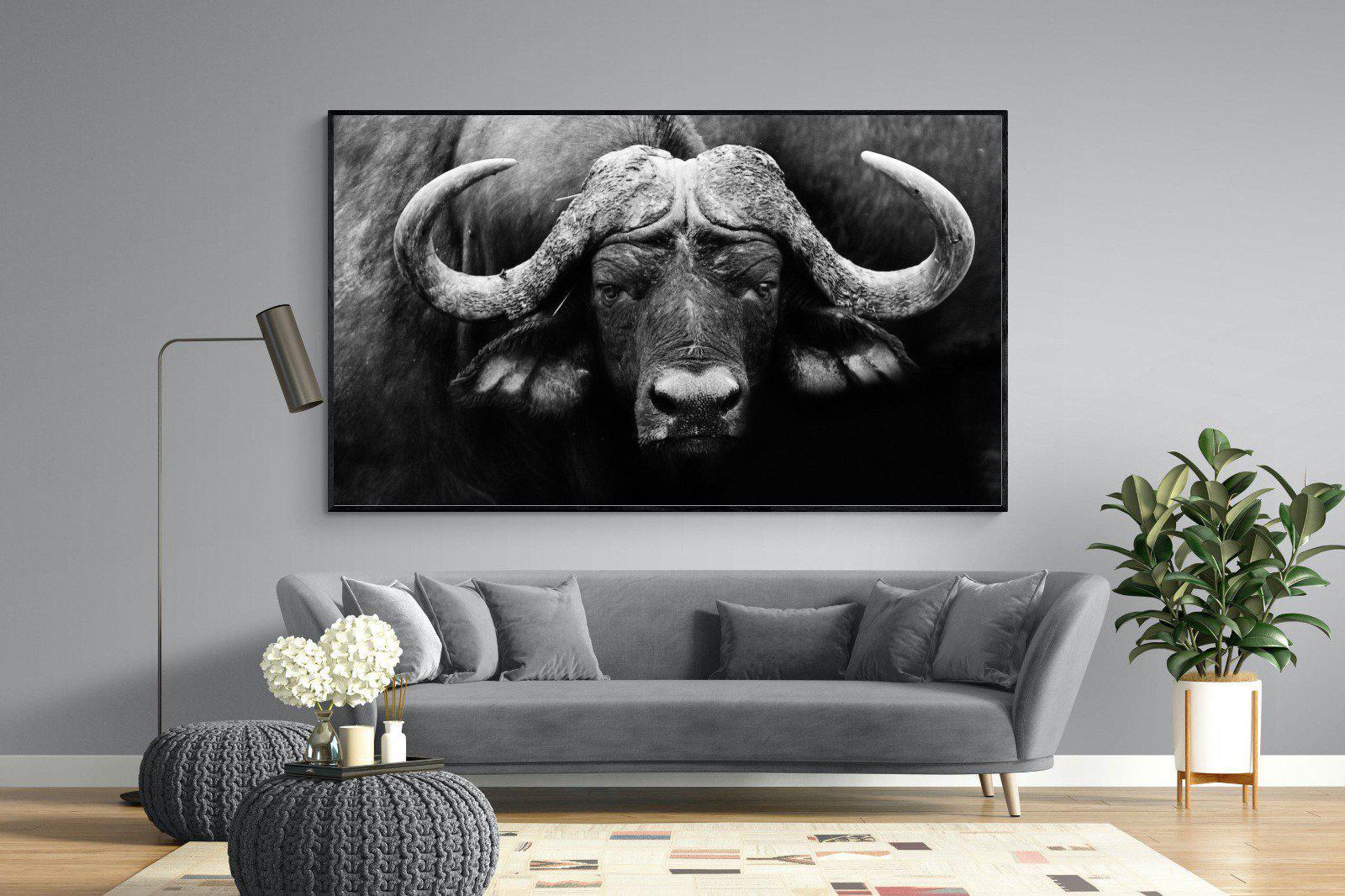 Cape Buffalo-Wall_Art-220 x 130cm-Mounted Canvas-Black-Pixalot