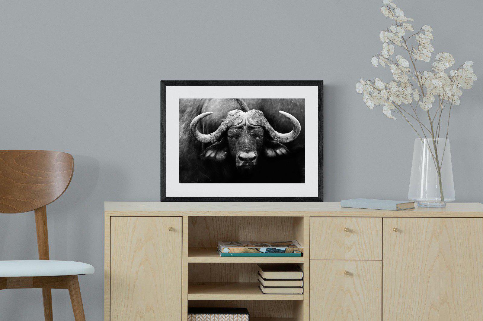 Cape Buffalo-Wall_Art-60 x 45cm-Framed Print-Black-Pixalot