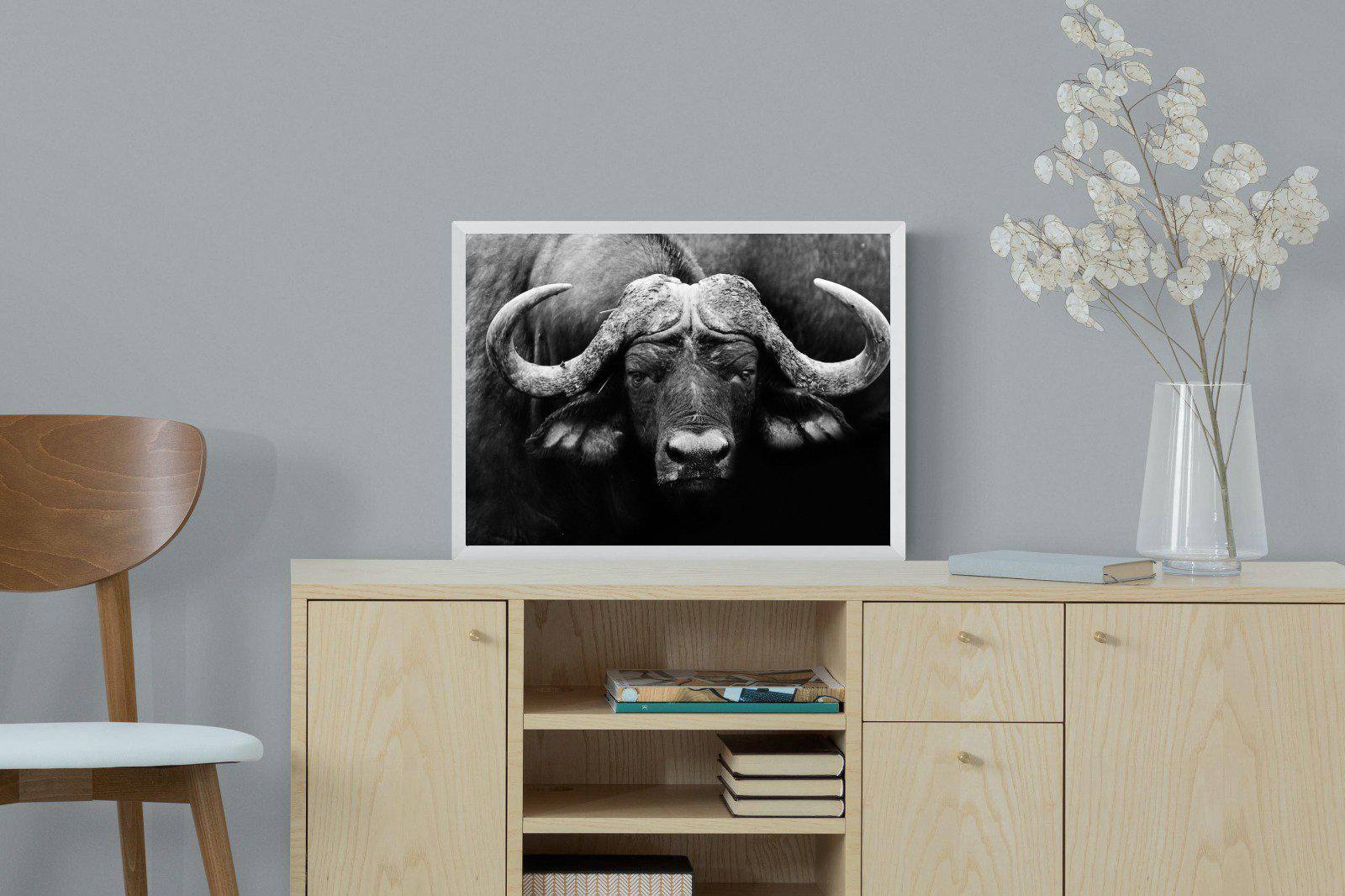 Cape Buffalo-Wall_Art-60 x 45cm-Mounted Canvas-White-Pixalot