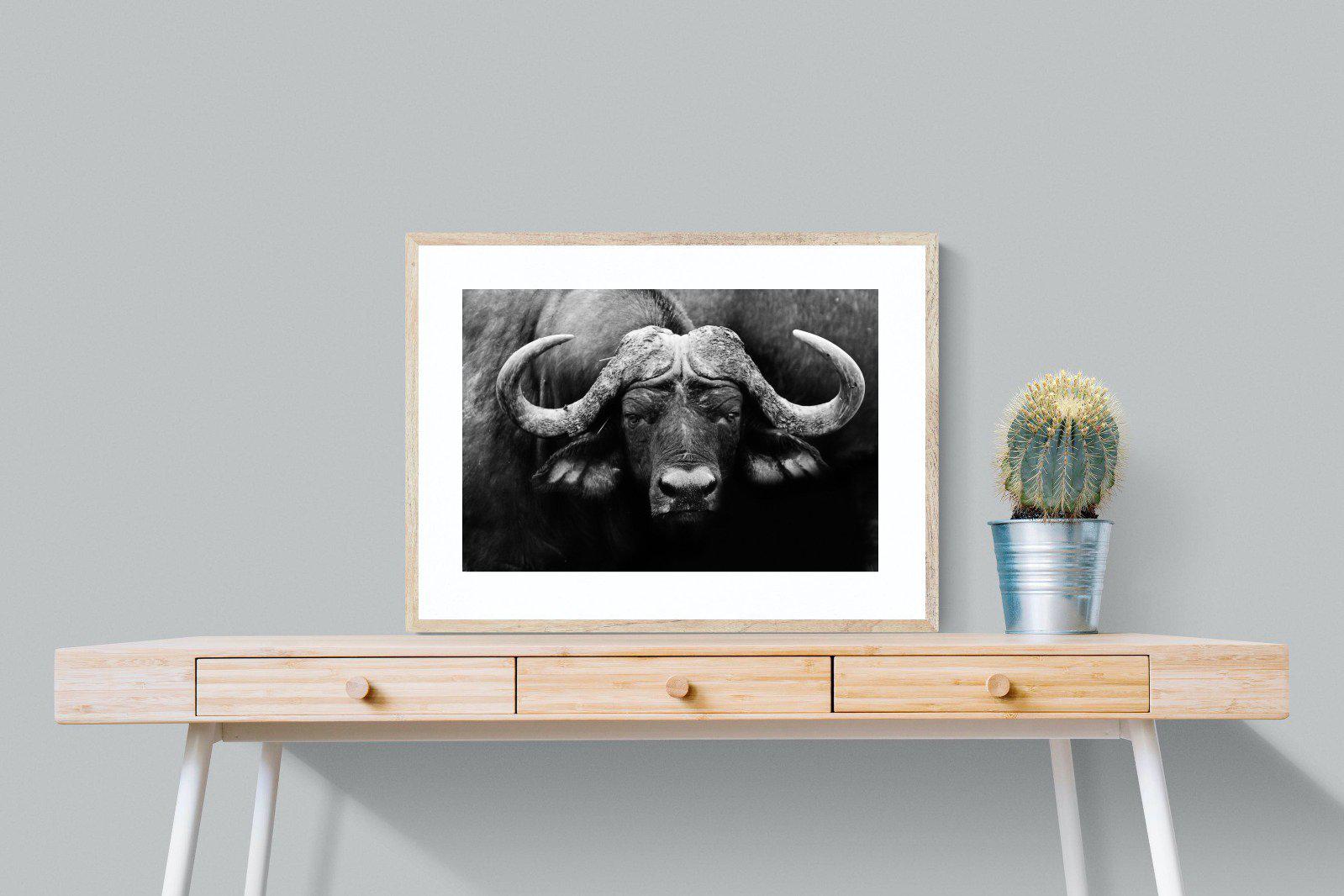Cape Buffalo-Wall_Art-80 x 60cm-Framed Print-Wood-Pixalot