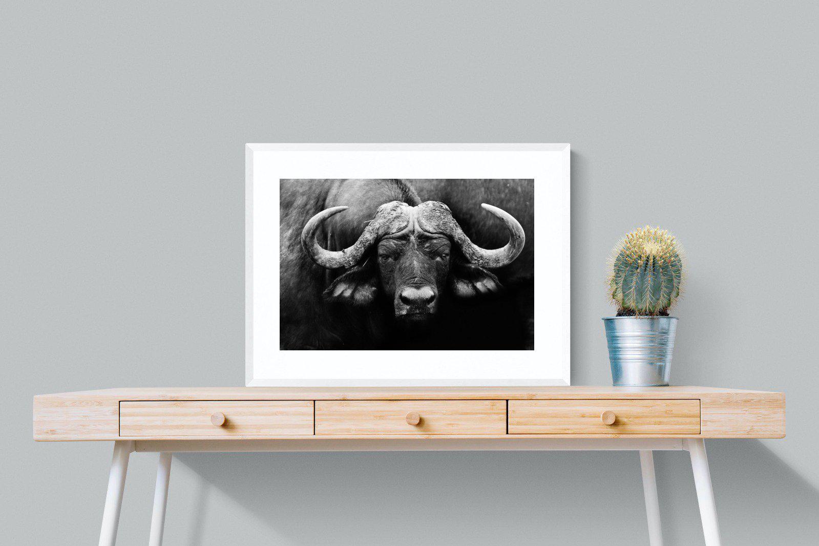 Cape Buffalo-Wall_Art-80 x 60cm-Framed Print-White-Pixalot