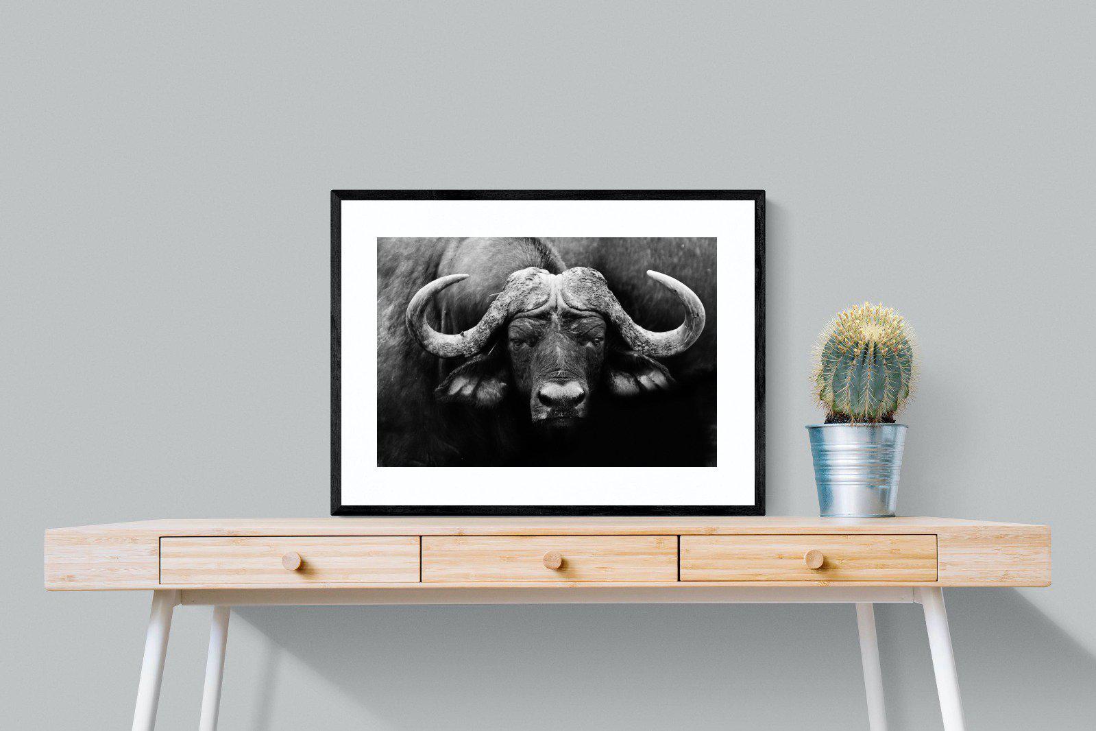 Cape Buffalo-Wall_Art-80 x 60cm-Framed Print-Black-Pixalot