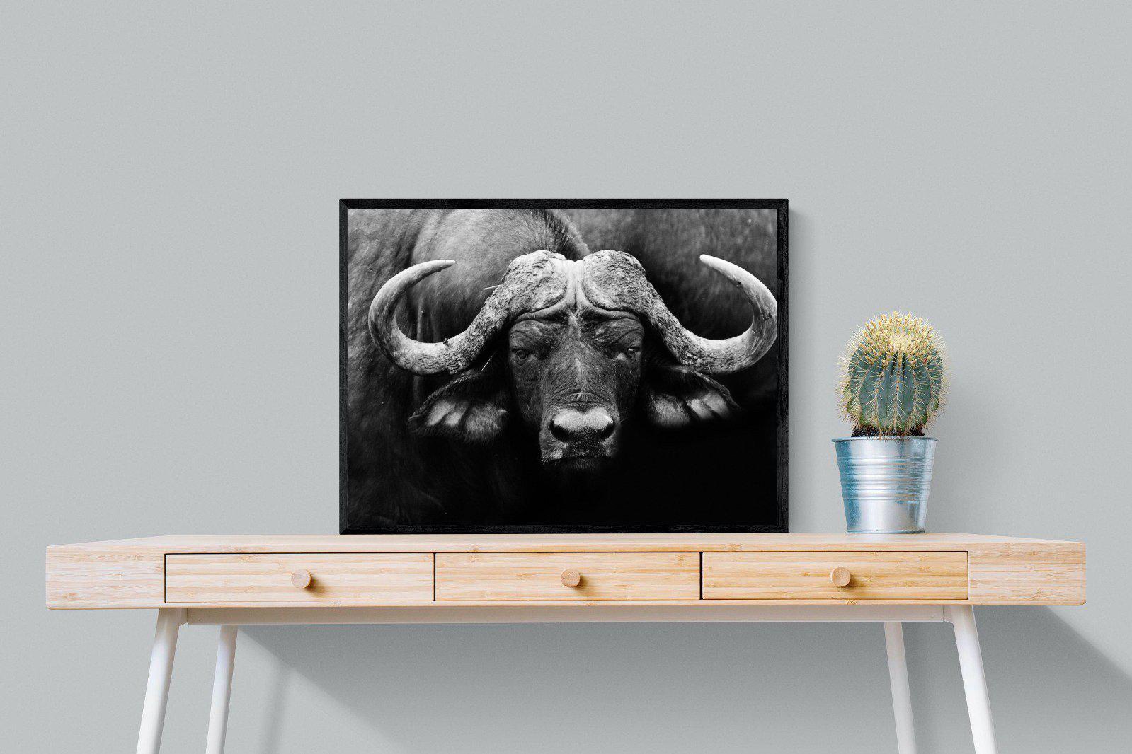 Cape Buffalo-Wall_Art-80 x 60cm-Mounted Canvas-Black-Pixalot