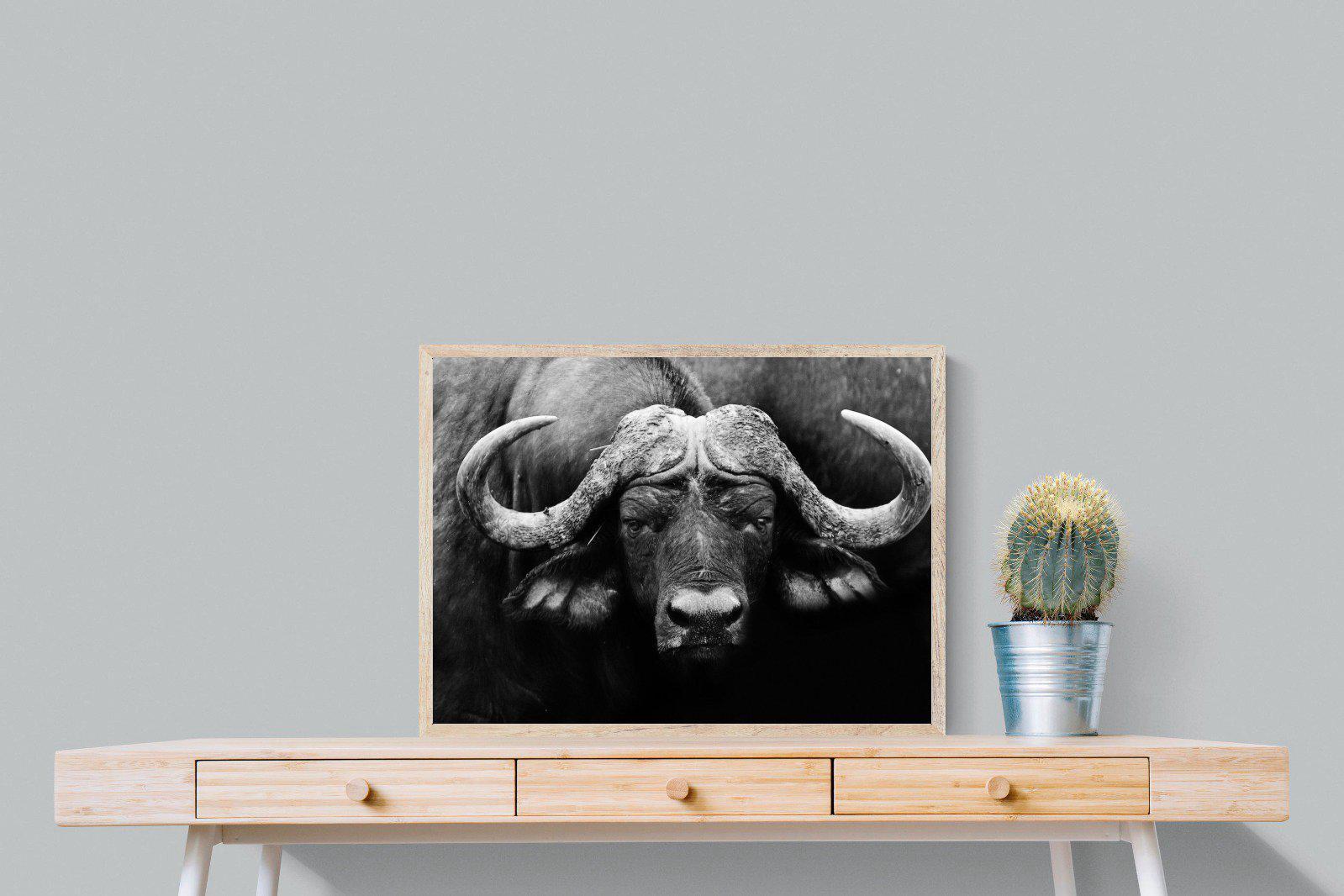 Cape Buffalo-Wall_Art-80 x 60cm-Mounted Canvas-Wood-Pixalot